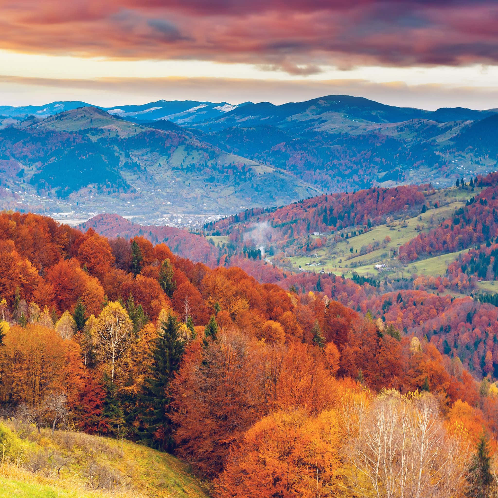 Best Autumn 桌布 壁紙 — 充滿活力的秋日森林覆蓋著起伏的山丘，在戲劇性的粉紅色和橙色日落天空下，遠處有白雪覆蓋的山峰。