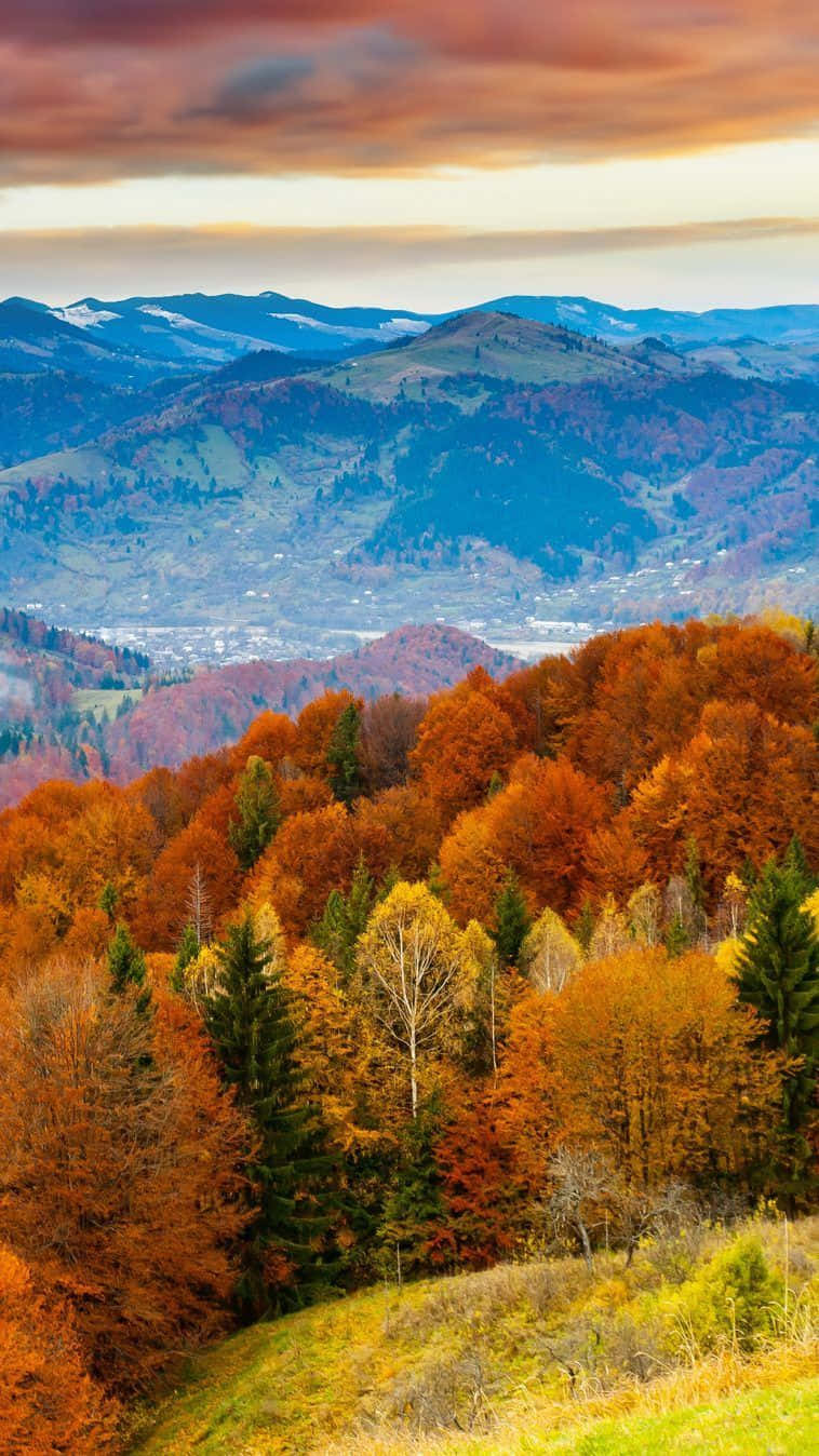 Autumn iPhone 6 Plus 桌布 壁紙 — 充滿活力的秋日森林覆蓋著起伏的山丘，天空呈現戲劇性的橙色和藍色，遠處有白雪覆蓋的山峰。