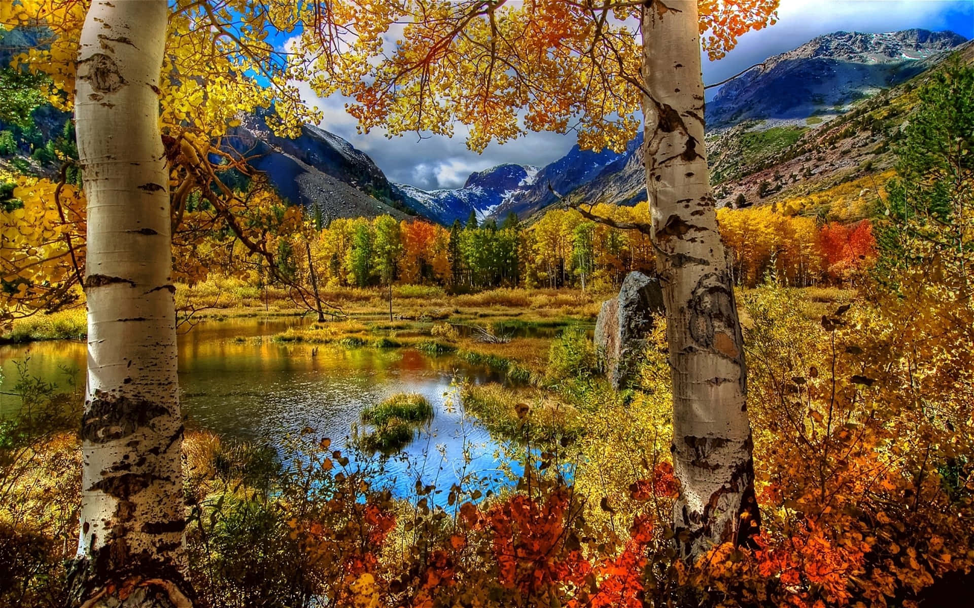 Fall Mountains 桌布 壁紙 — 充滿活力的秋日白楊樹環繞著寧靜的山湖，在戲劇性的天空下反射出金色的樹葉和積雪的山峰。