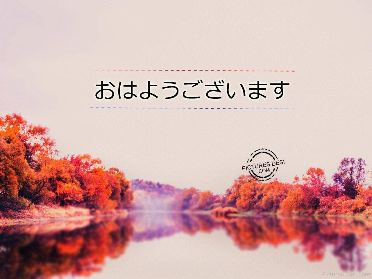 日式 桌布 壁紙 — 充滿活力的秋樹，帶有火熱的橙色和紫色葉子，在柔和晨光下倒映在平靜的水面上。