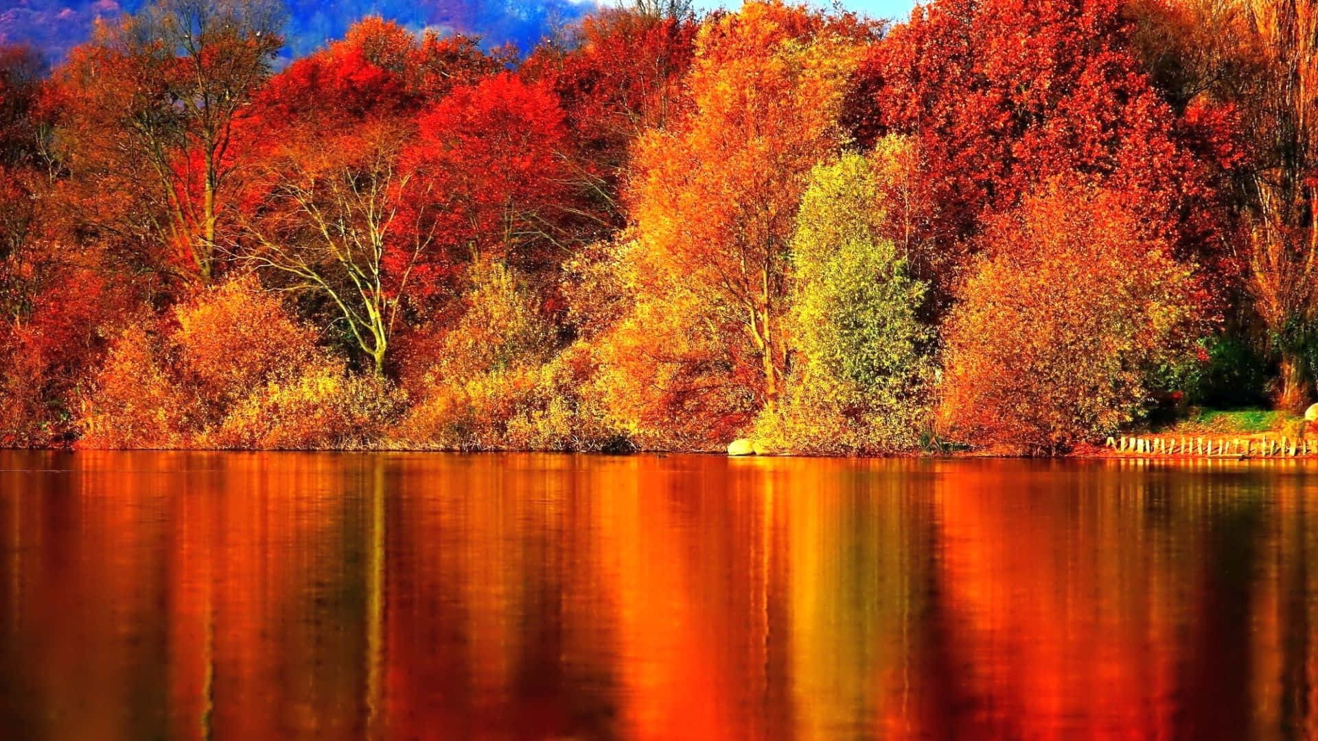 Perfect Fall 桌布 壁紙 — 充滿活力的秋樹，火紅橙色的葉子在晴朗的藍天下完美地倒映在平靜的湖面上。