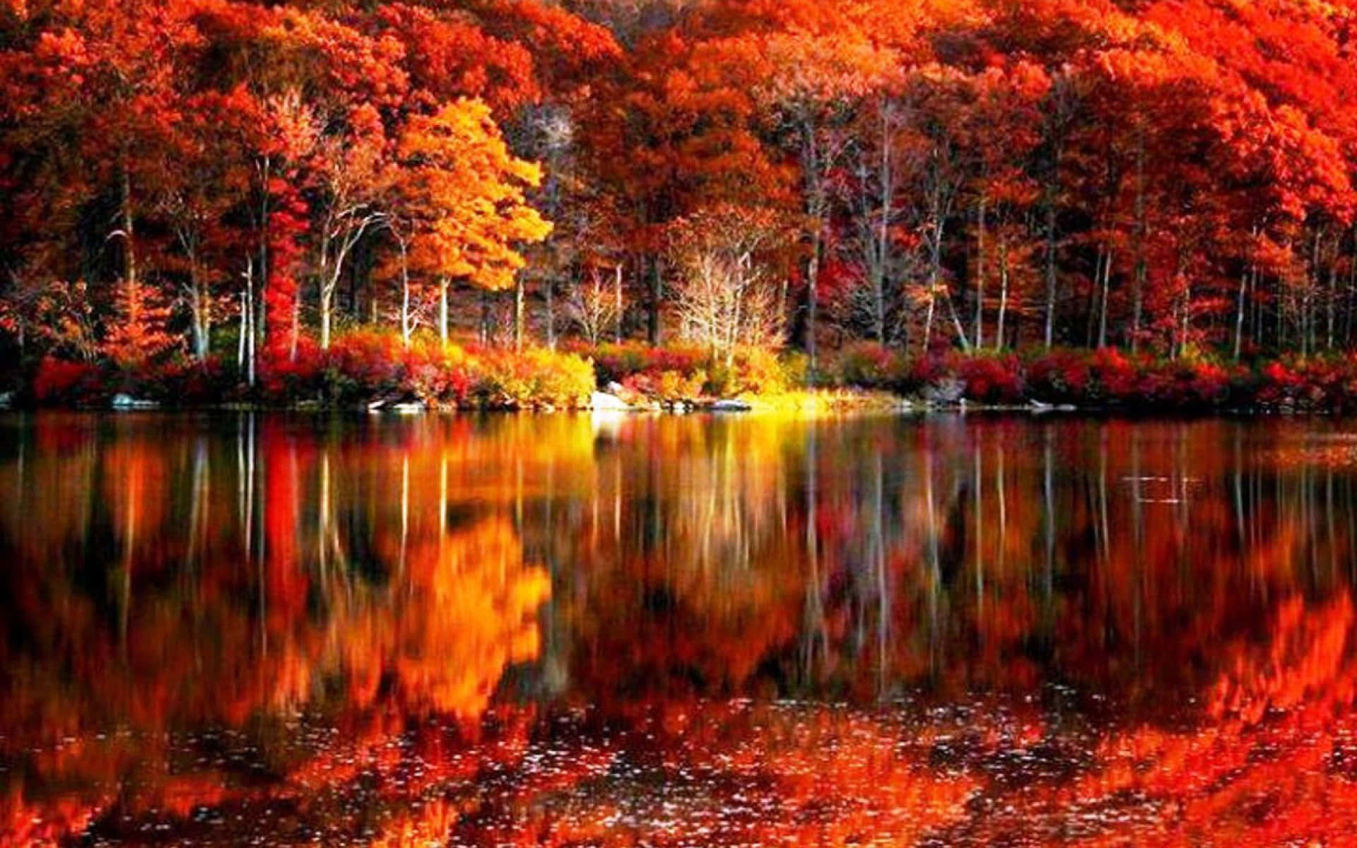 Fall Colors 桌布 壁紙 — 充滿活力的秋樹，火紅橙色的葉子在晴朗的天空下完美地倒映在平靜的湖面上。