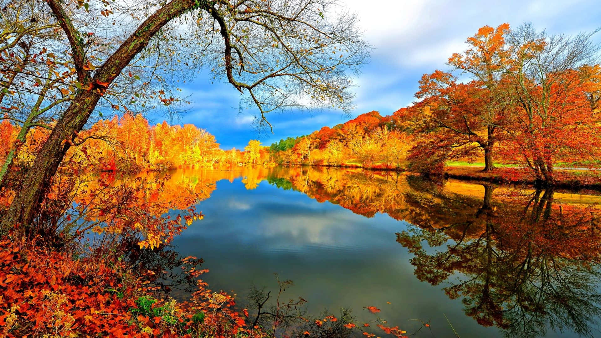 Fall Lake 桌布 壁紙 — 充滿活力的秋樹，火紅的橙色葉子在明亮的藍天下完美地倒映在平靜的湖面上。