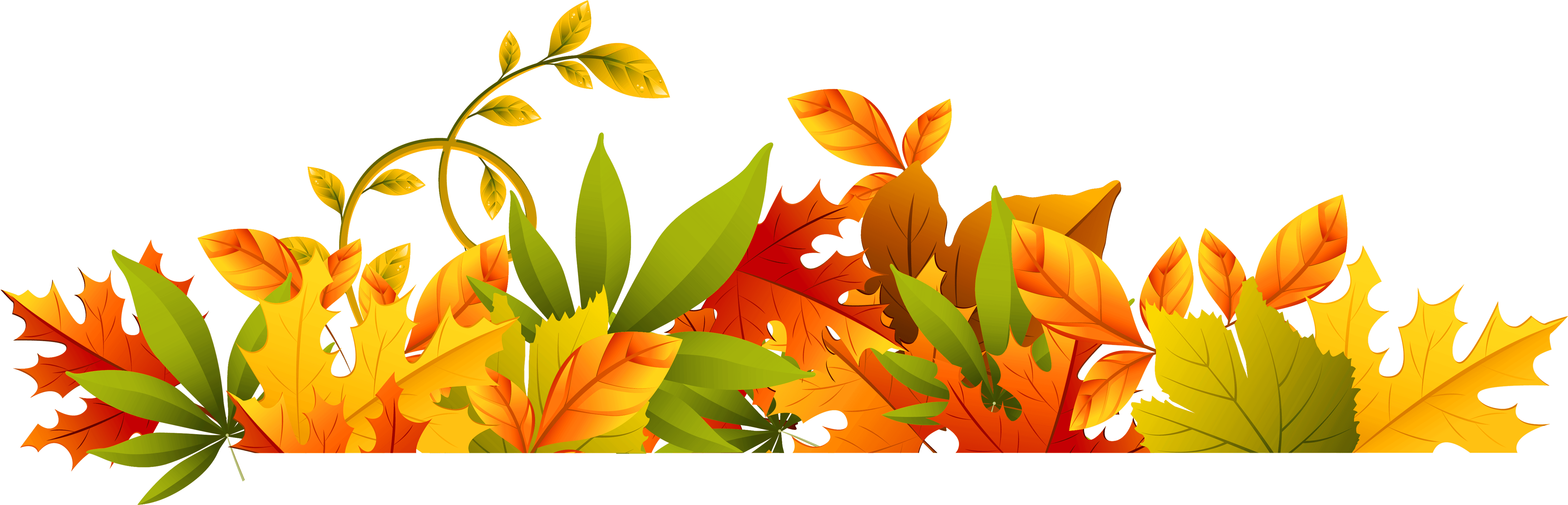 Leaf Border 桌布 壁紙 — 充滿活力的秋葉以橙色、黃色和綠色在黑色背景上形成裝飾邊框，如瀑布般傾瀉而下。