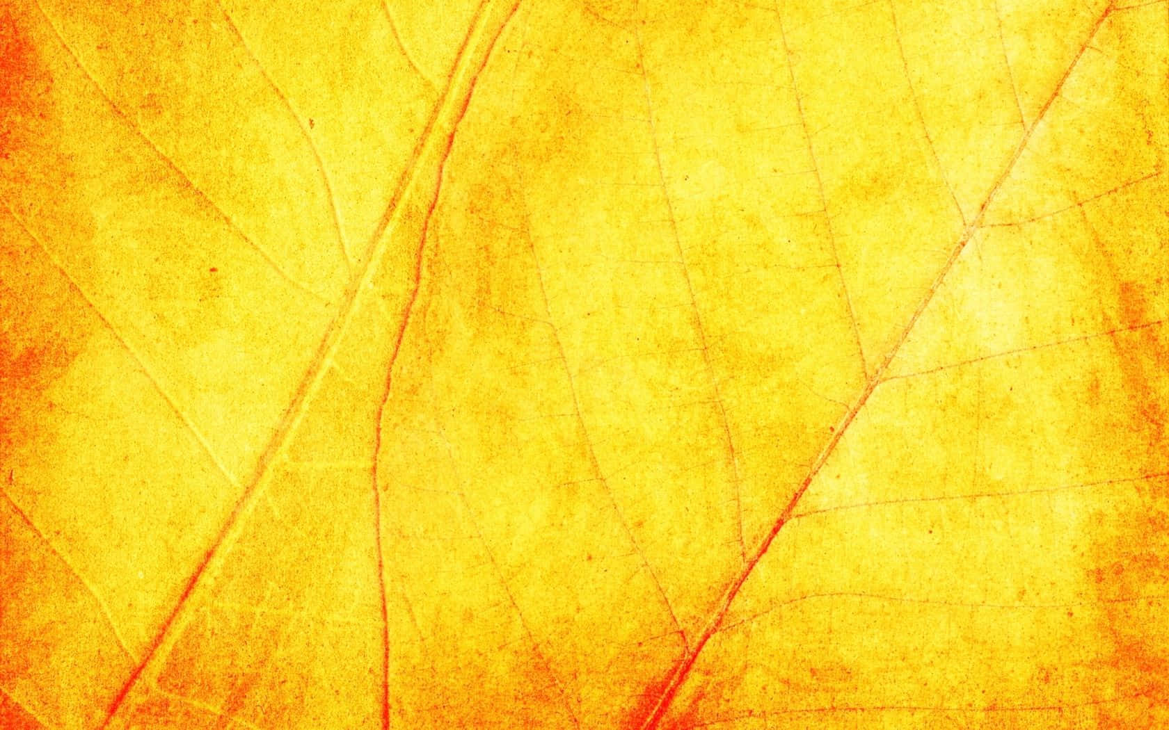 黃色紋理 桌布 壁紙 — 充滿活力的秋葉特寫，帶有複雜的葉脈紋理和溫暖的金橙色調。