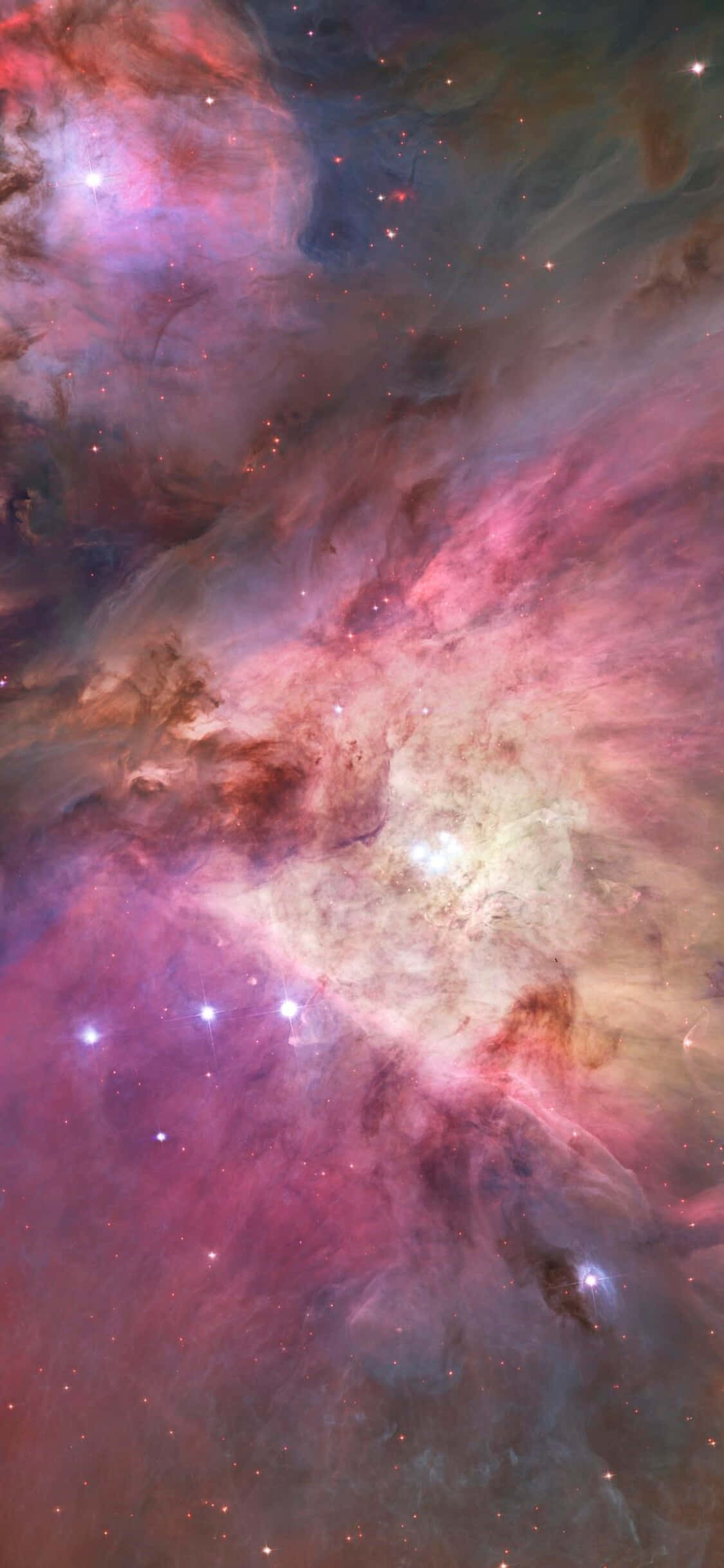 Orion 桌布 壁紙 — 充滿活力的粉紅色、紫色和藍色宇宙雲層在壯麗星雲中與發光的星星一起旋轉。