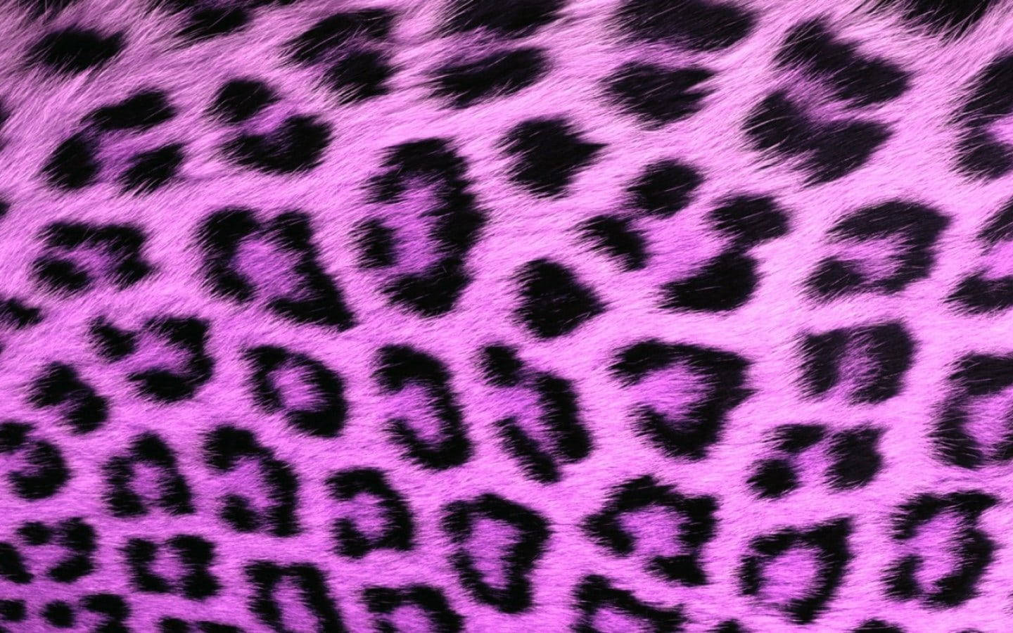 Leopard Print 桌布 壁紙 — 充滿活力的粉紅色人造毛皮搭配大膽的黑色豹紋斑點，營造出大膽而奢華的質感。