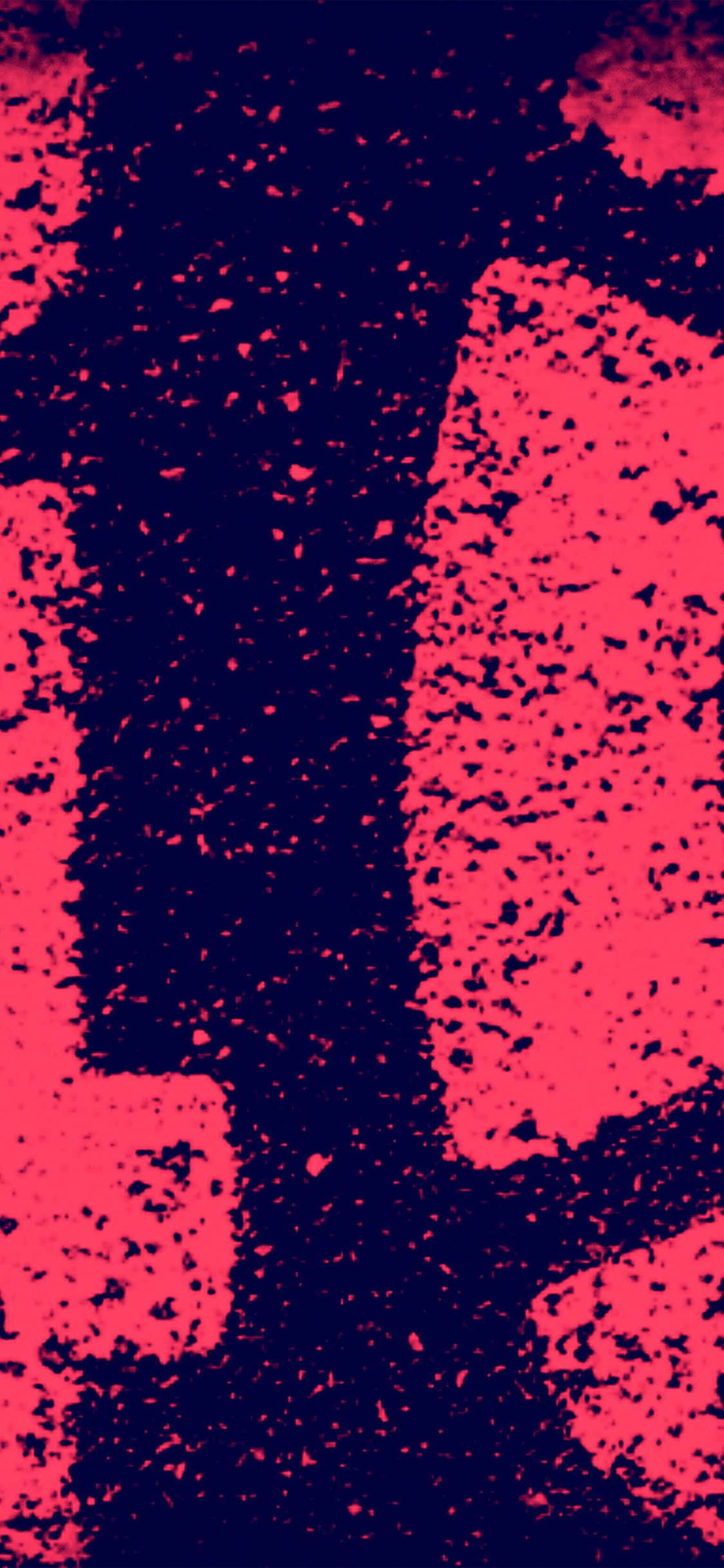 Red Grunge 桌布 壁紙 — 充滿活力的粉紅色和深藍色抽象形狀，帶有紋理顆粒覆蓋層，創造出大膽的數位藝術構圖。