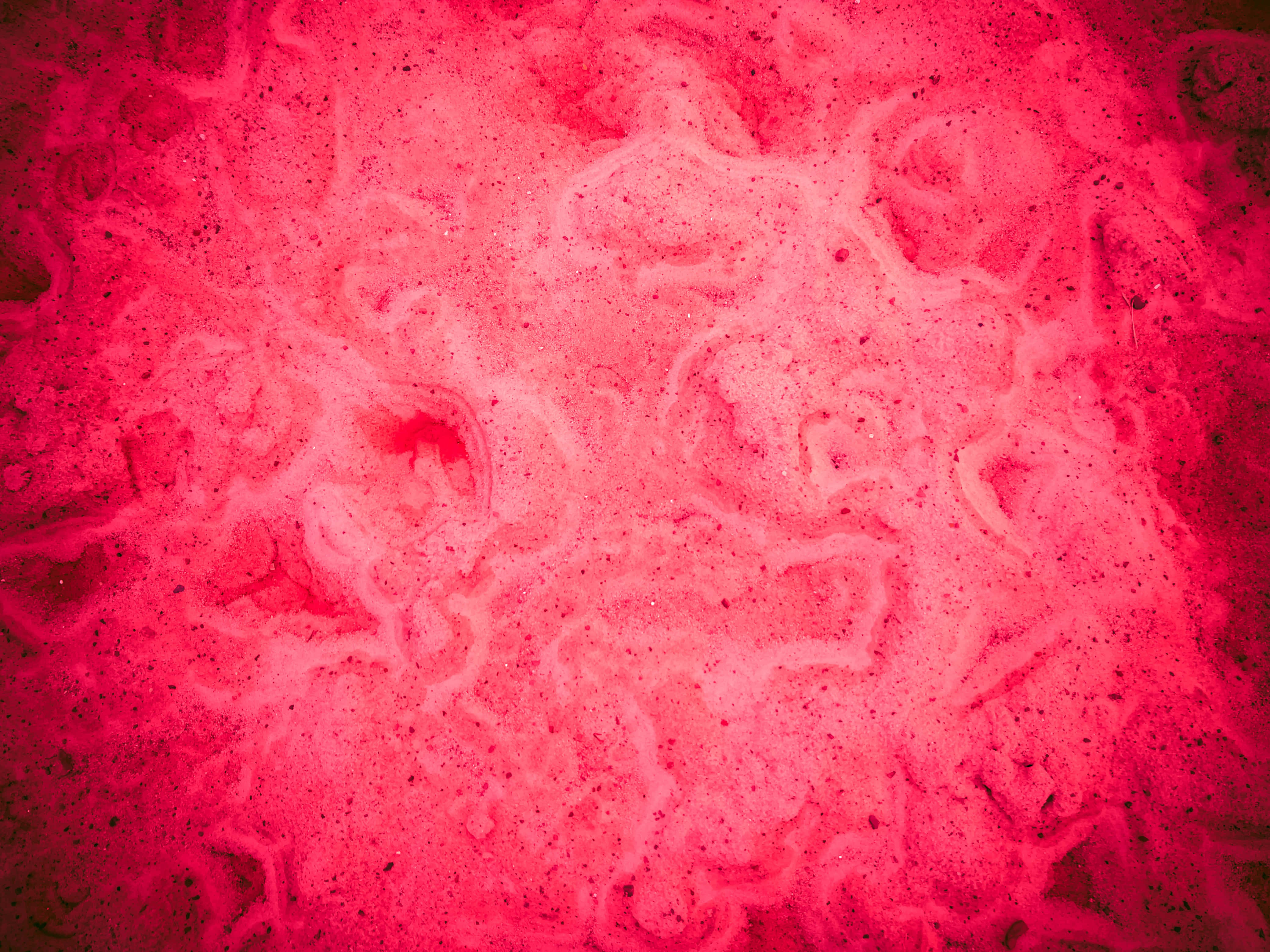 Hot Pink 桌布 壁紙 — 充滿活力的粉紅色和紅色漩渦抽象液體圖案，帶有斑點紋理和有機流動線條。