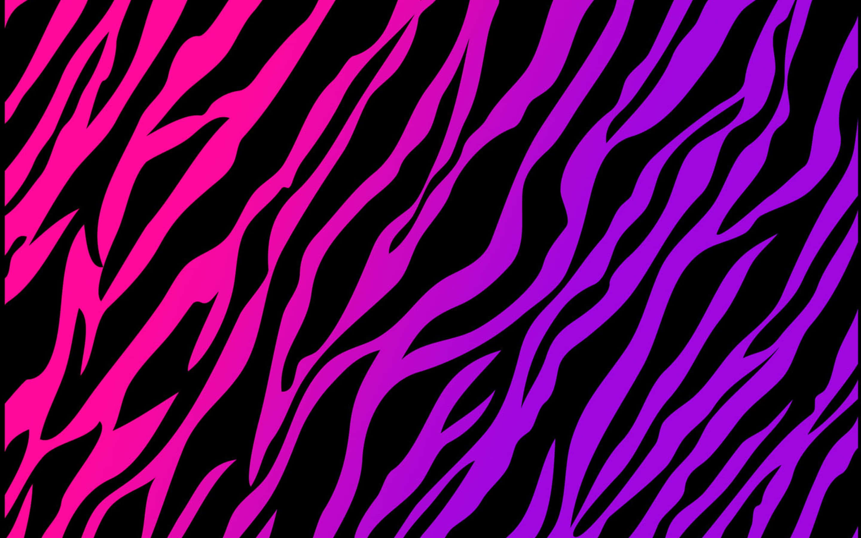 Pink Abstract 桌布 壁紙 — 充滿活力的粉紅色和紫色斑馬條紋在純黑色背景上以對角線流動，形成大膽的圖案。