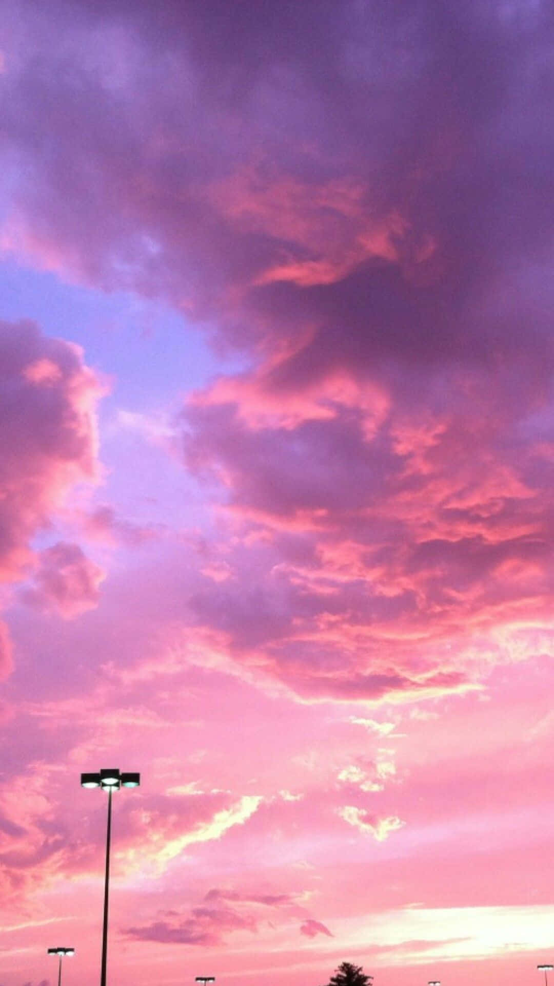 Clouds Aesthetic Tumblr 桌布 壁紙 — 充滿活力的粉紅色和紫色日落天空，帶有紋理的雲朵，襯托出路燈和一棵孤樹的剪影。