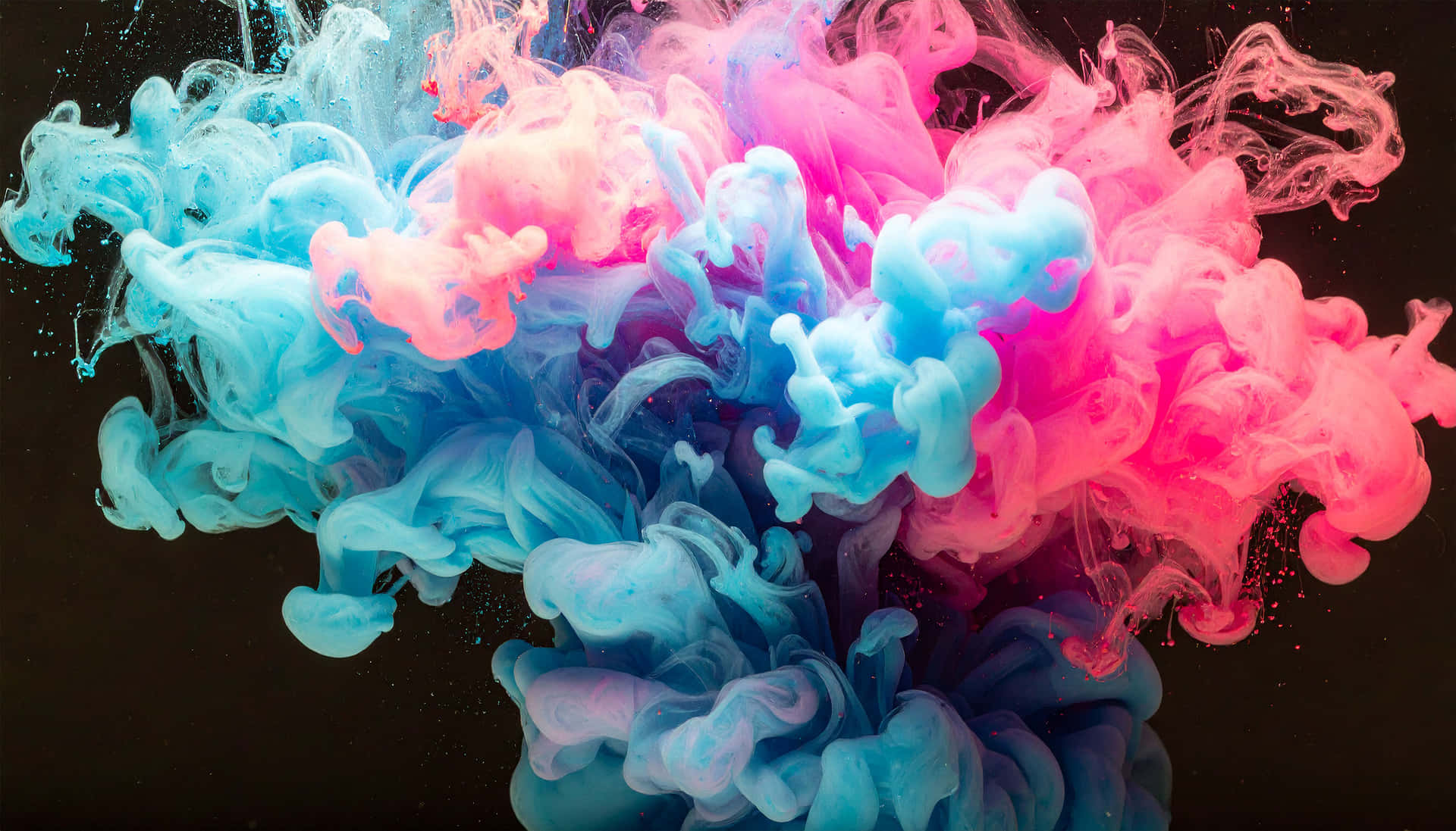 Ink Bloom Explosion 壁紙 — 充滿活力的粉紅色和青色墨水漩渦在純黑色背景上爆炸，形成動態的水下爆發。