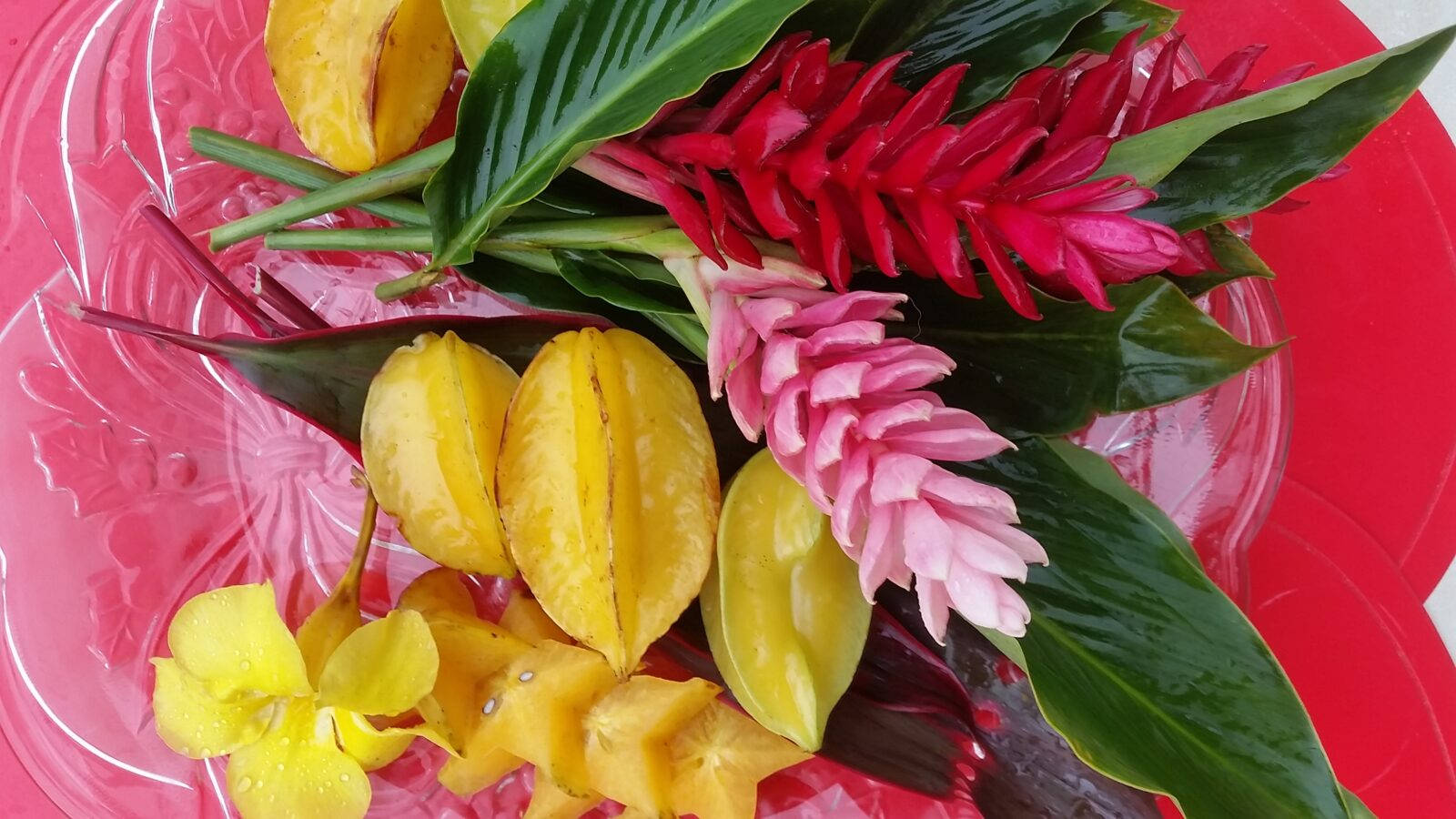 Fruit 桌布 壁紙 — 充滿活力的粉紅色和黃色楊桃和熱帶花卉排列在光澤的紅色盤子上。