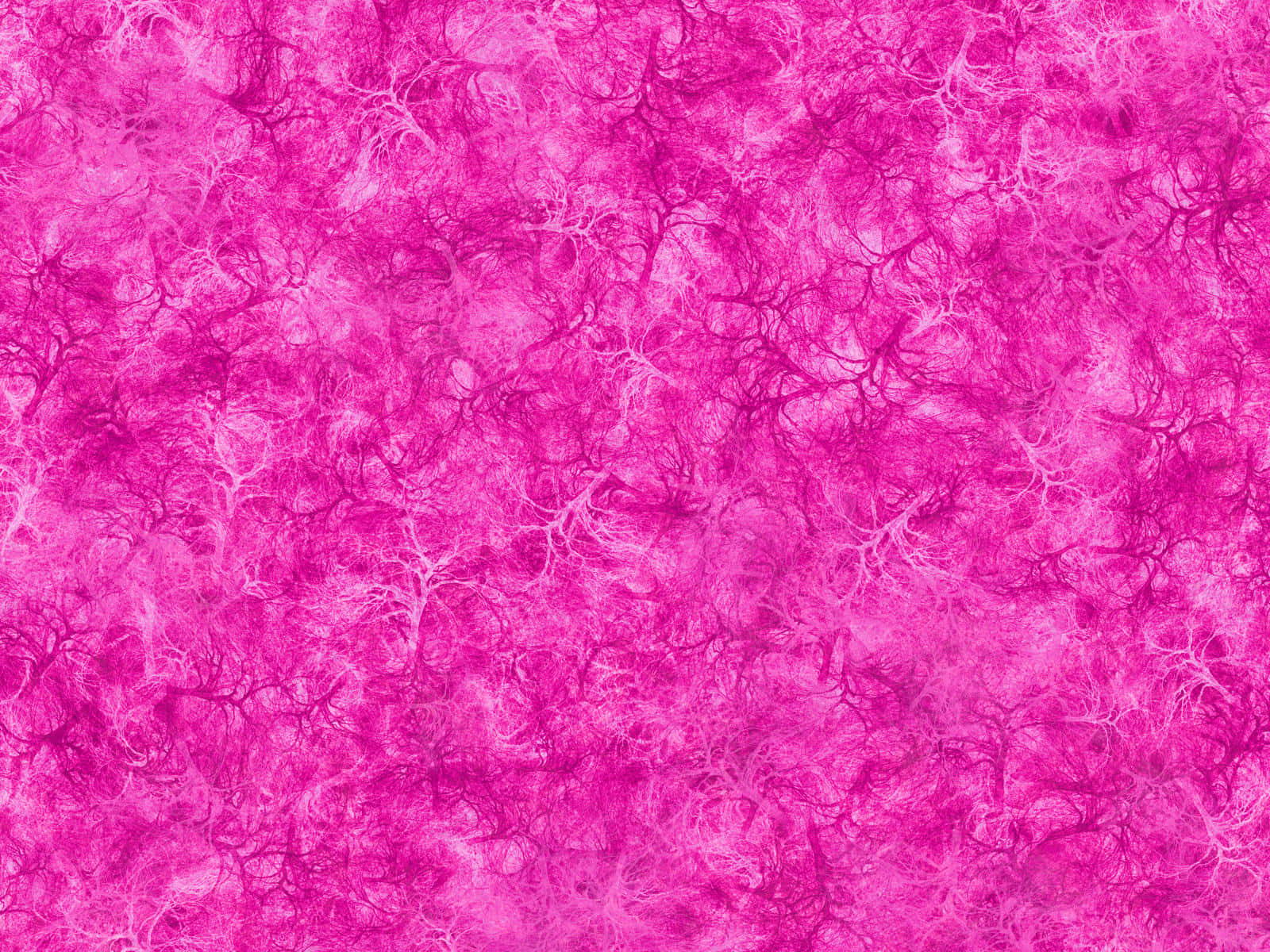 Pink Texture 桌布 壁紙 — 充滿活力的粉紅色抽象紋理，帶有類似神經網絡或珊瑚的精緻白色分支圖案。