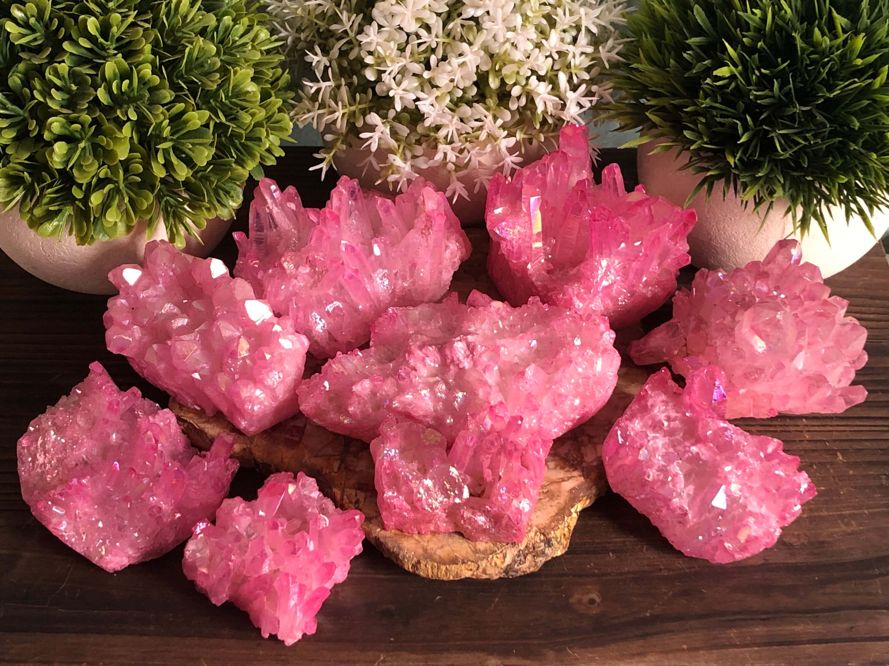 Pink Crystal Quartz 桌布 壁紙 — 充滿活力的粉紅色水晶簇在質樸的木片上閃耀，周圍環繞著綠色和白色的盆栽植物。