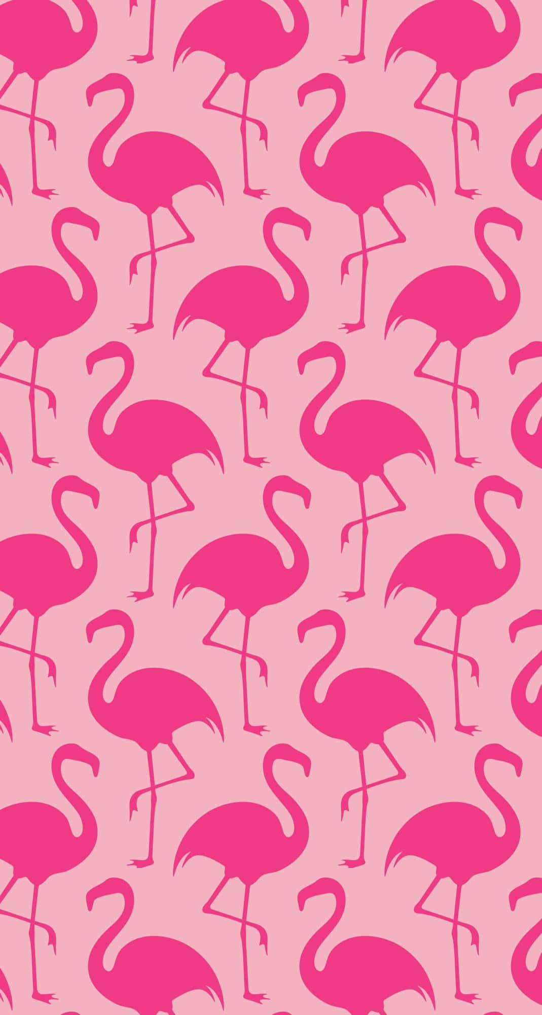 Pink Flamingos 桌布 壁紙 — 充滿活力的粉紅色火烈鳥剪影在柔和的粉紅色背景上以俏皮的圖案重複。
