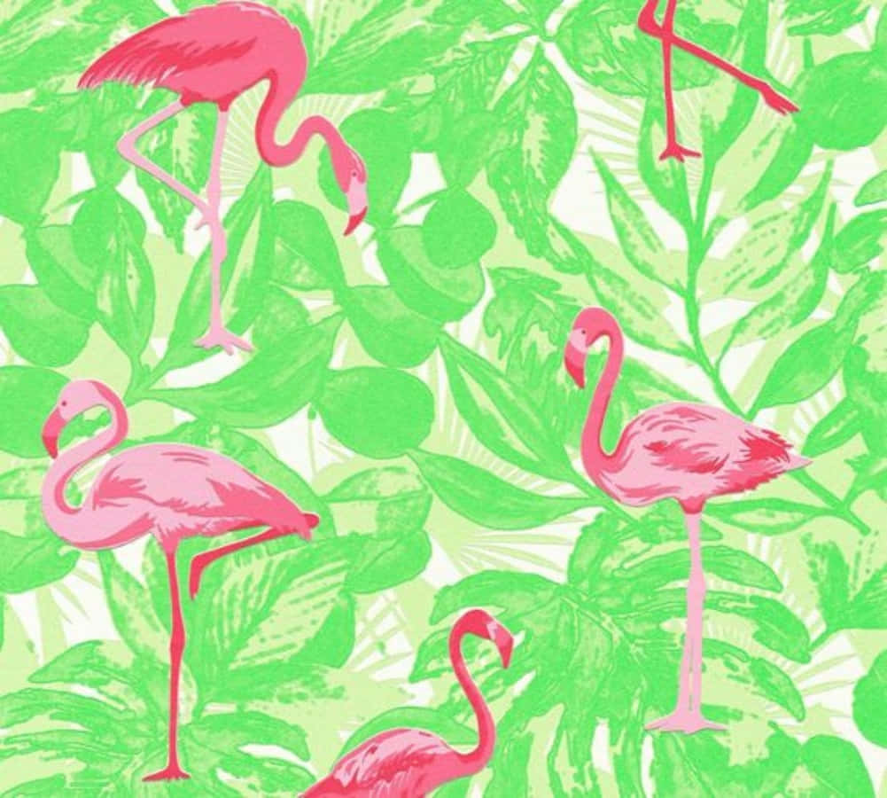 Pink Flamingos 桌布 壁紙 — 充滿活力的粉紅色火鶴優雅地站在茂密的綠色熱帶樹葉中，形成大膽的圖案。
