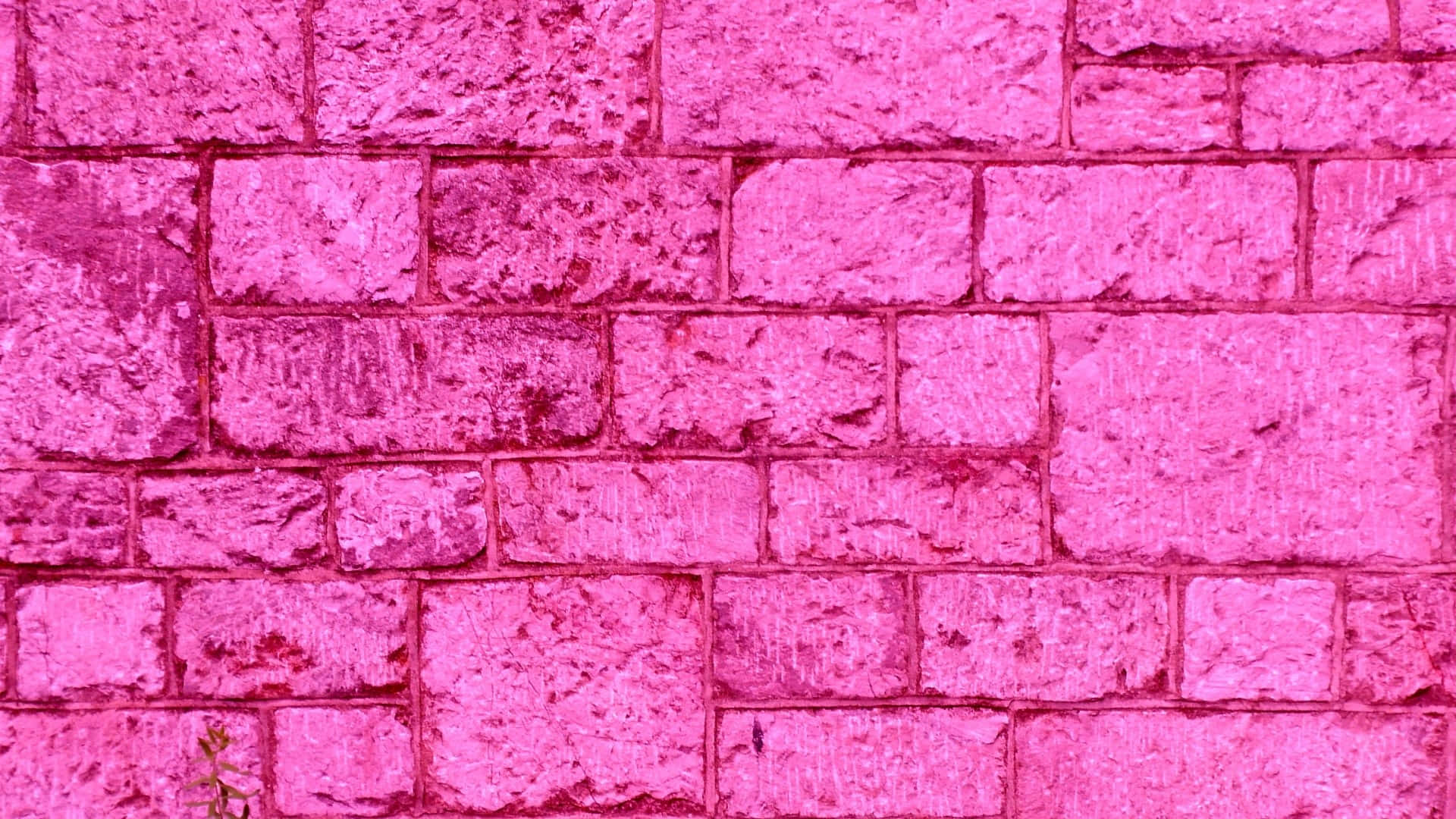 Pink Brick 桌布 壁紙 — 充滿活力的粉紅色石磚牆，表面有紋理，角落有微妙的苔蘚生長。