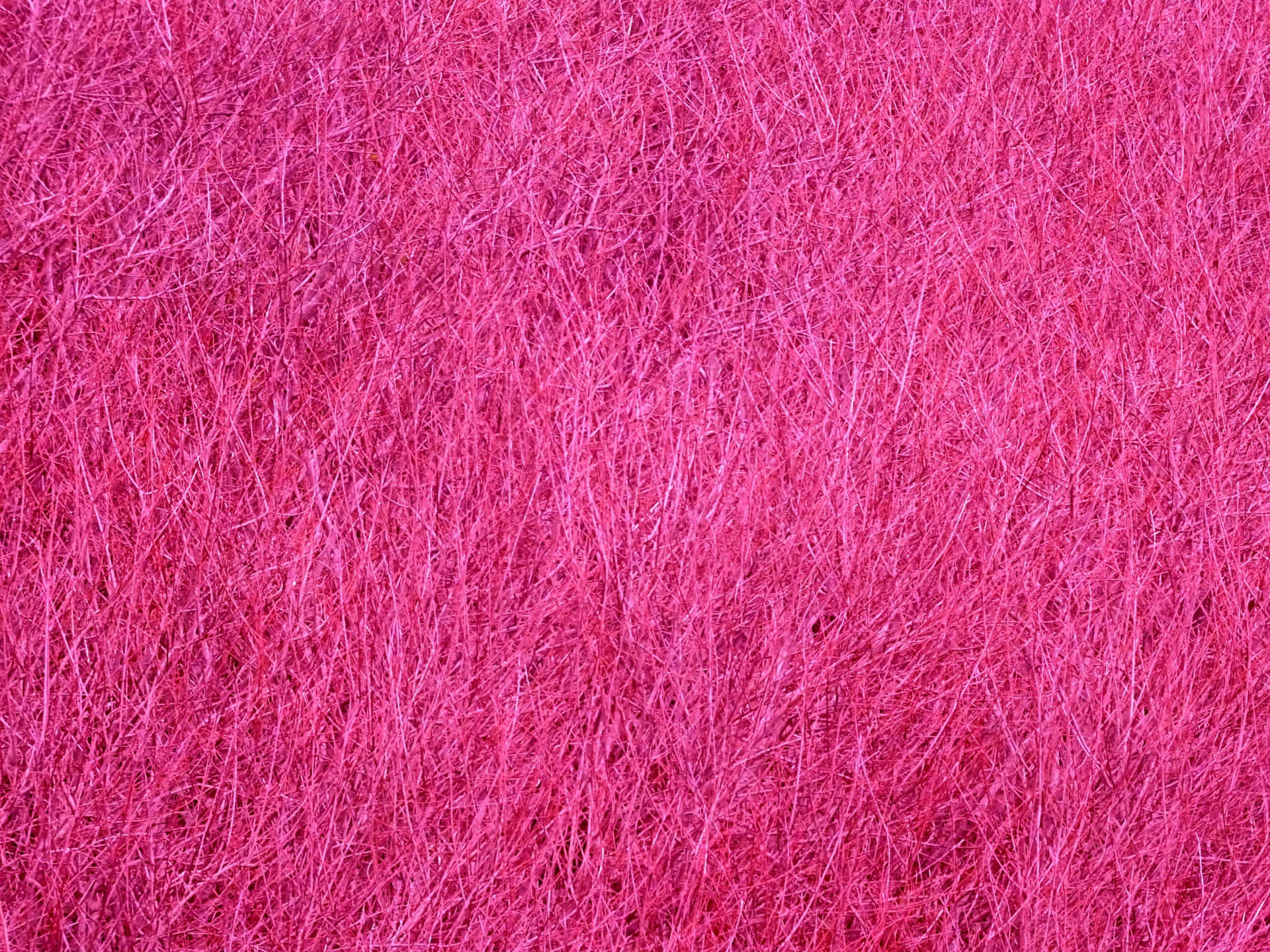 Pink Texture 桌布 壁紙 — 充滿活力的粉紅色纖維質感，類似絨毛草或合成材料，以混亂的有機絲線填滿畫面。