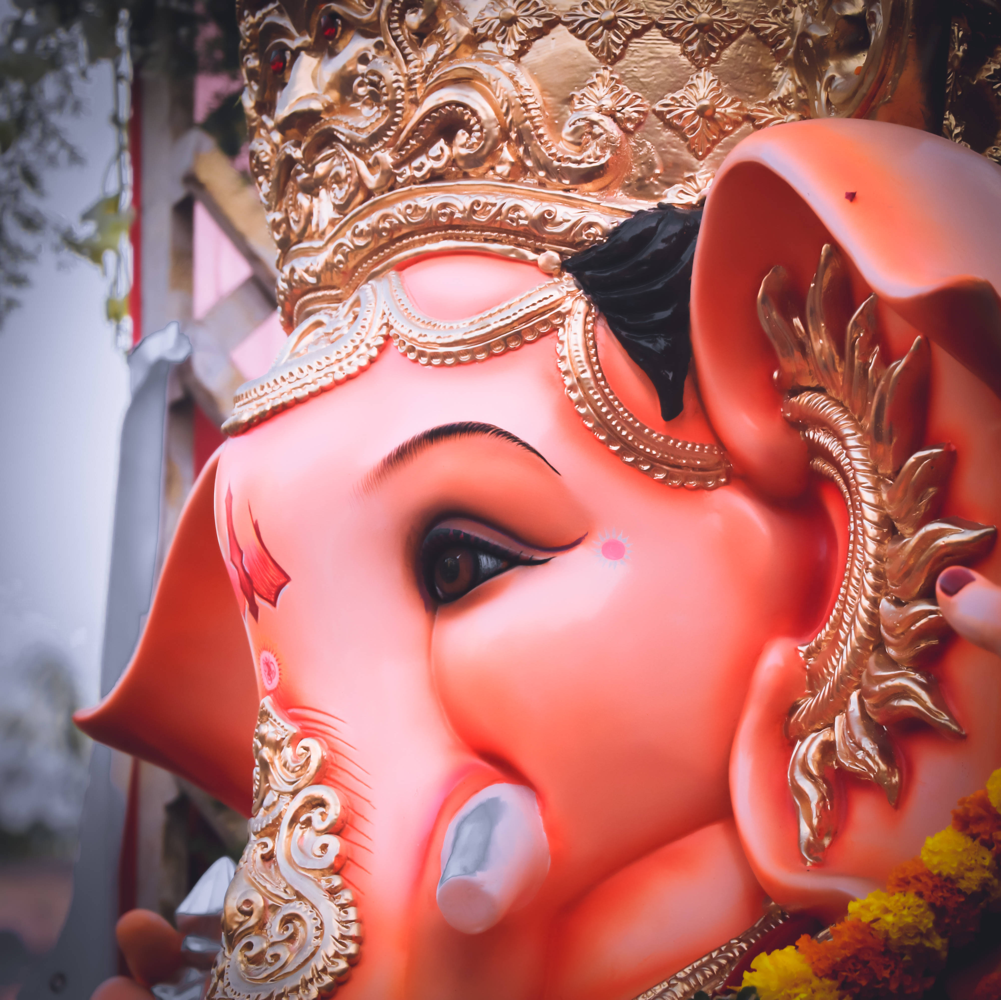 ganpati HD 桌布 壁紙 — 充滿活力的粉紅色象神雕像特寫，飾有金色華麗王冠和珠寶，背景為模糊的戶外環境。