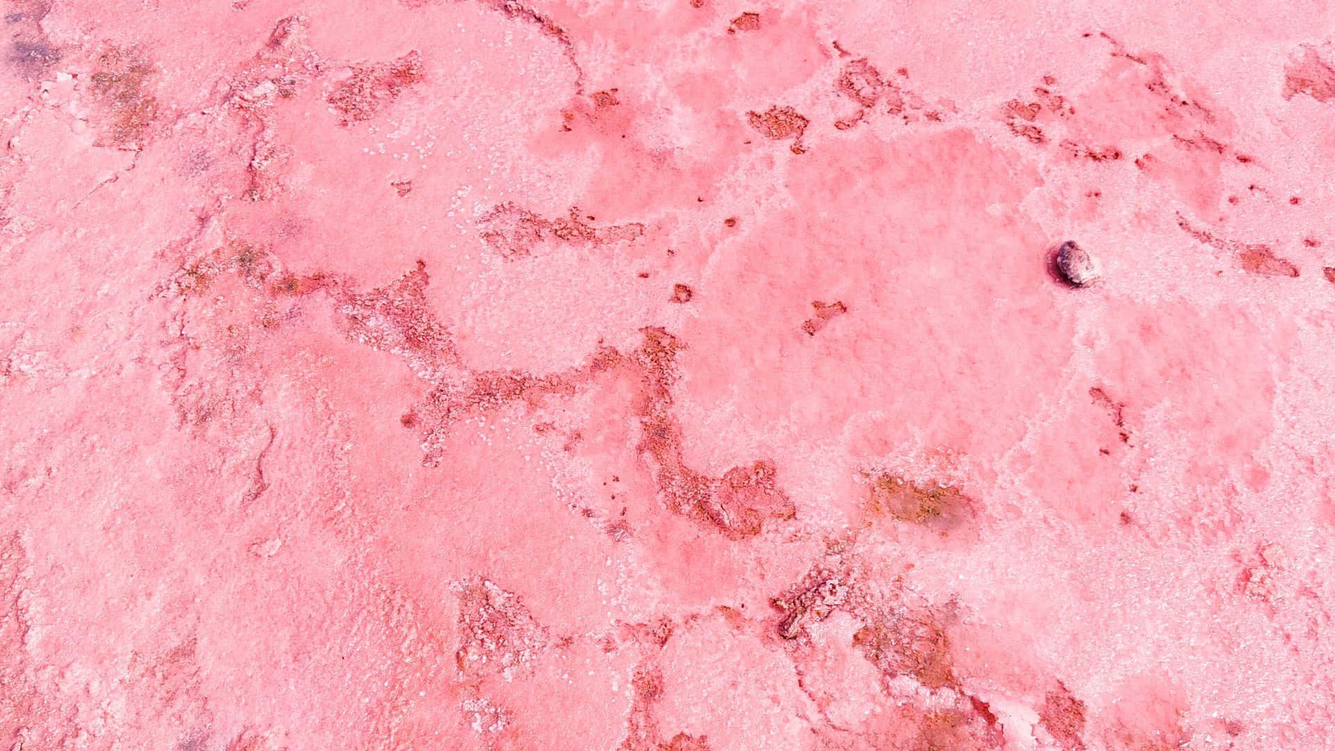 Pink Texture 桌布 壁紙 — 充滿活力的粉紅色鹽灘特寫，帶有紋理結晶圖案和散落的深色斑點。