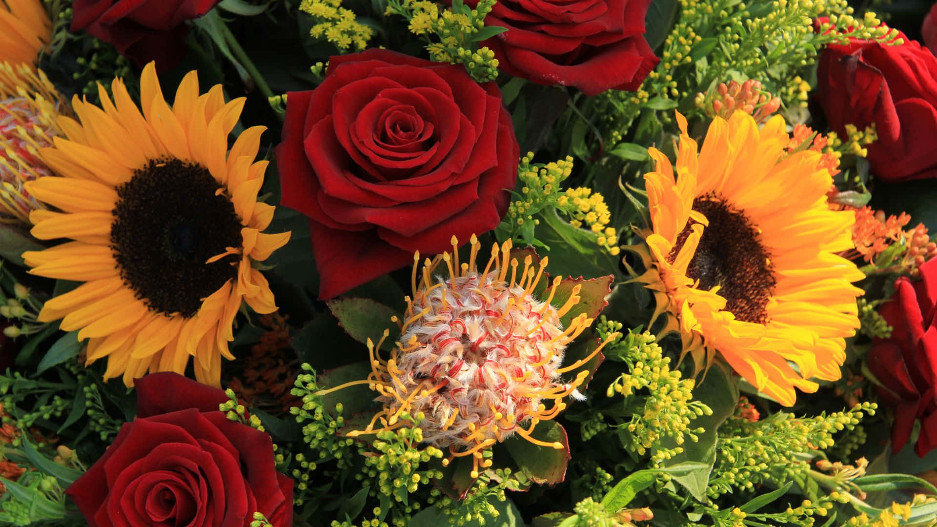 Roses 桌布 壁紙 — 充滿活力的紅玫瑰、向日葵和帝王花束，周圍環繞著茂密的綠葉和黃色小花。