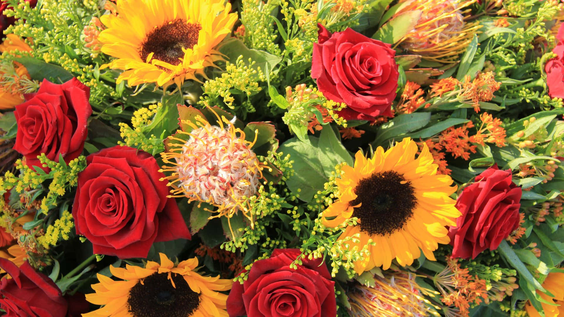 Roses 桌布 壁紙 — 充滿活力的紅玫瑰、向日葵和帝王花束，周圍環繞著茂密的綠植和小黃花。