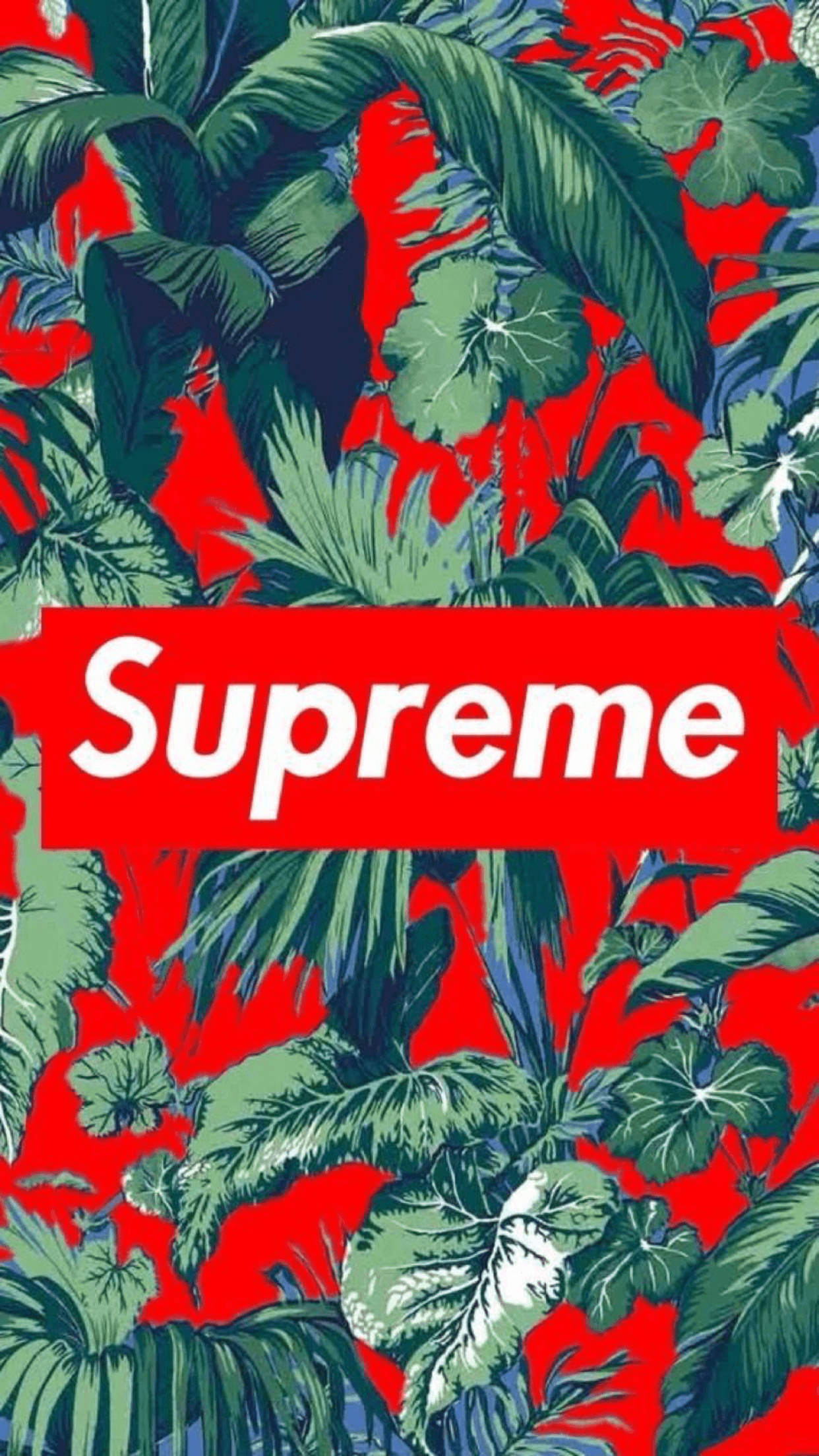 supreme 桌布 壁紙 — 充滿活力的紅色背景，茂密的綠色熱帶葉片和一個大膽的白色Supreme標誌居中。