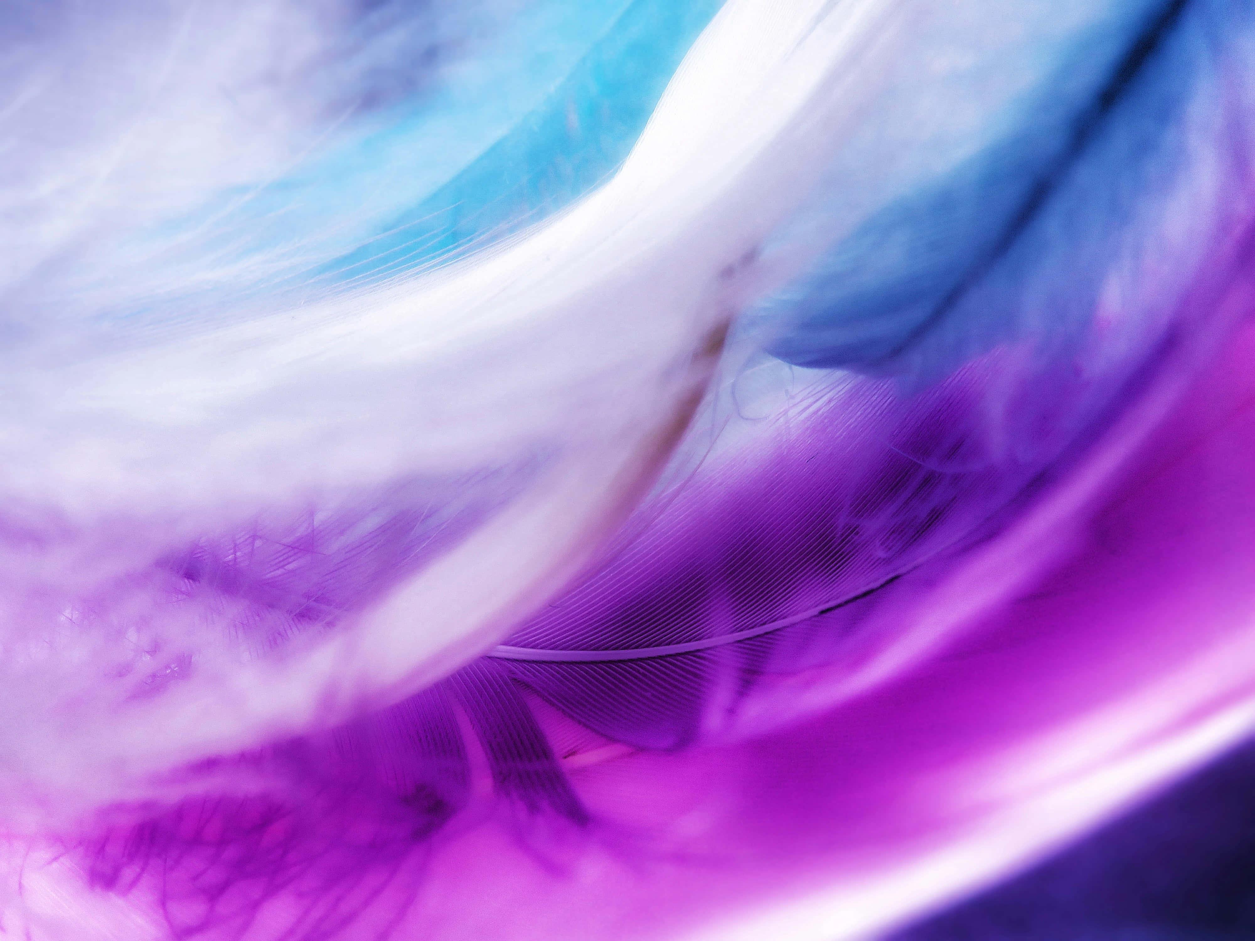 Blue And Purple 桌布 壁紙 — 充滿活力的紫色、藍色和白色羽毛狀紋理，帶有柔和動態模糊的抽象特寫漩渦。