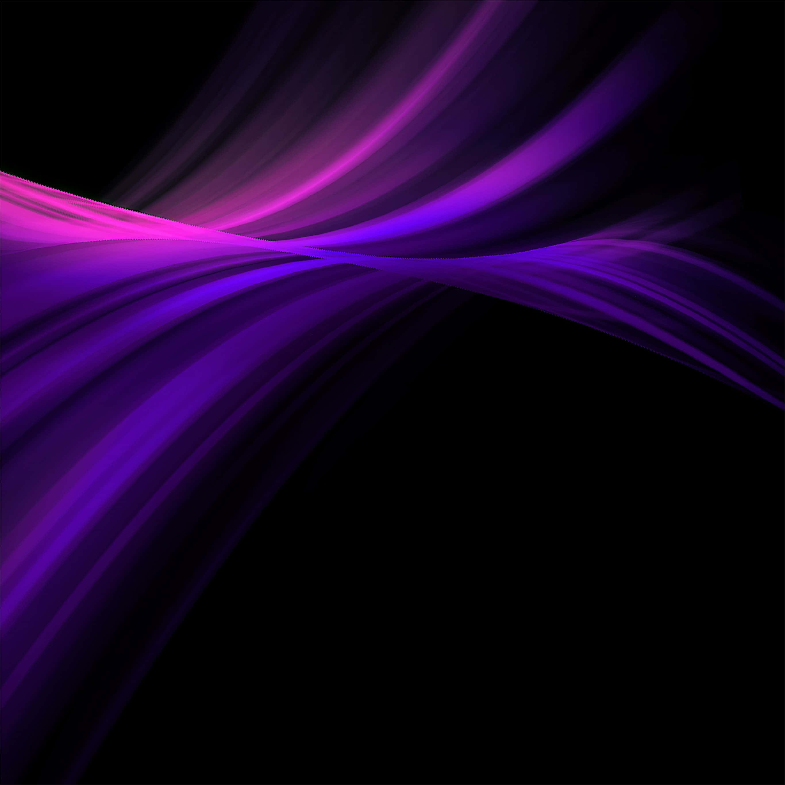 Purple Abstract 桌布 壁紙 — 充滿活力的紫色和粉紅色光線條在深黑色背景上動態流動，營造出迷人的抽象動感。