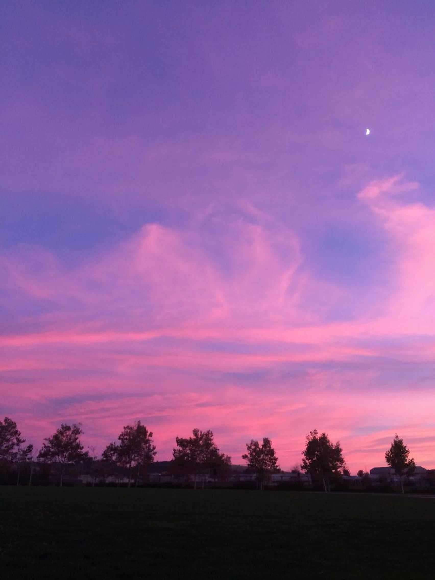 夕陽天空 桌布 壁紙 — 充滿活力的紫色和粉紅色日落天空，新月懸掛在剪影樹木和黑暗田野之上。