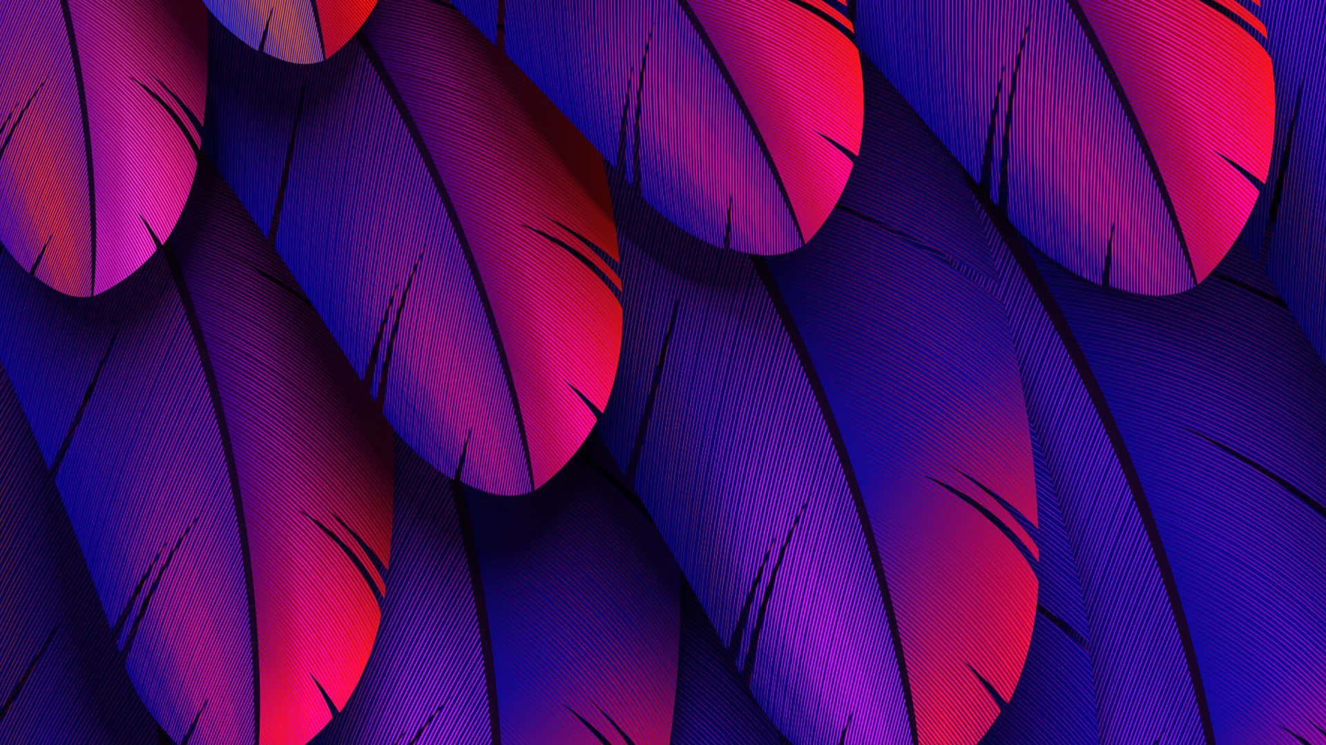 Purple Feathers 桌布 壁紙 — 充滿活力的紫色和粉紅色羽毛，帶有細膩的深色線條，營造出大膽的抽象圖案。