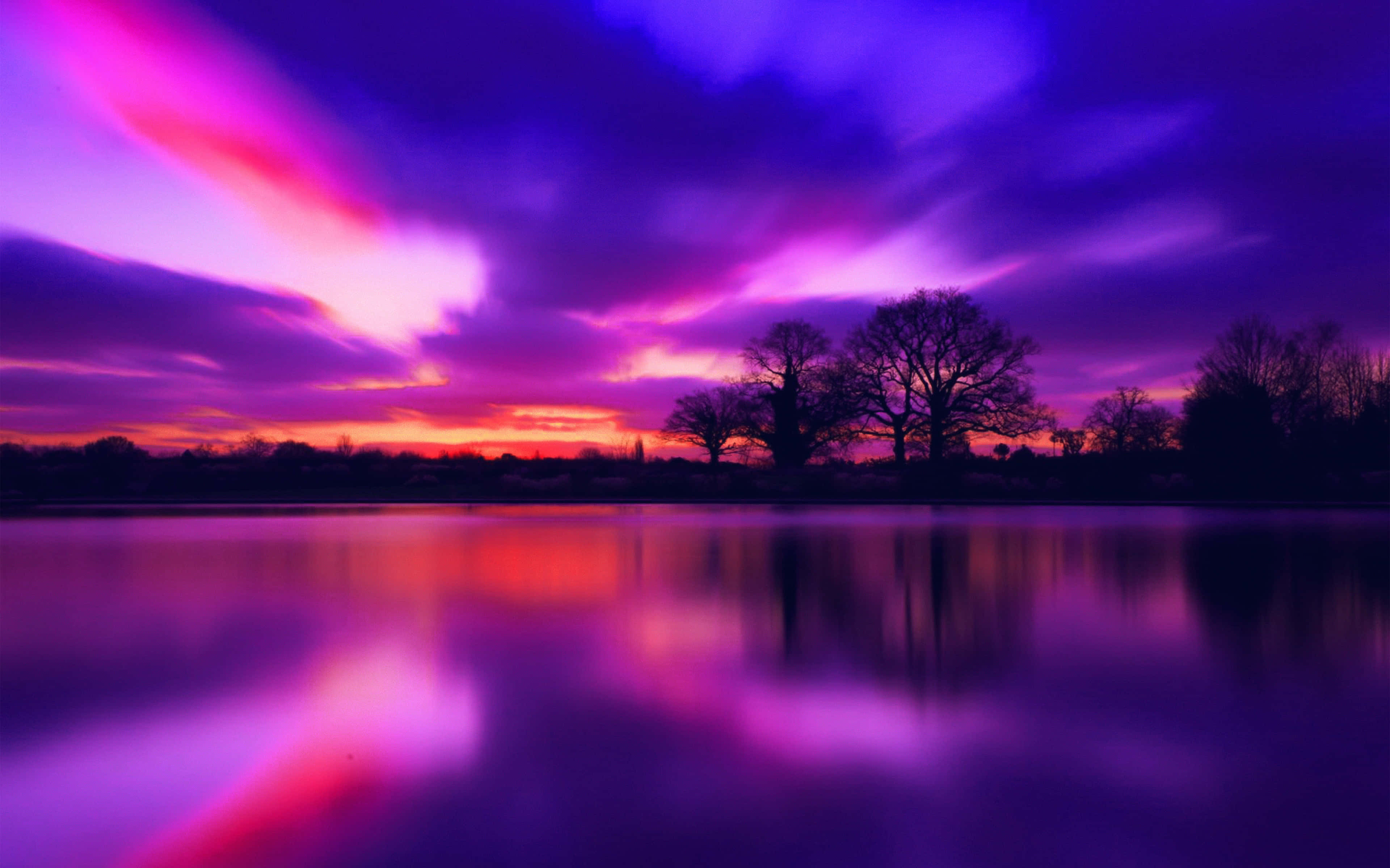 Blue And Purple 桌布 壁紙 — 充滿活力的紫色和粉紅色雲彩劃過暮色天空，倒映在平靜的湖面上，樹木形成剪影。