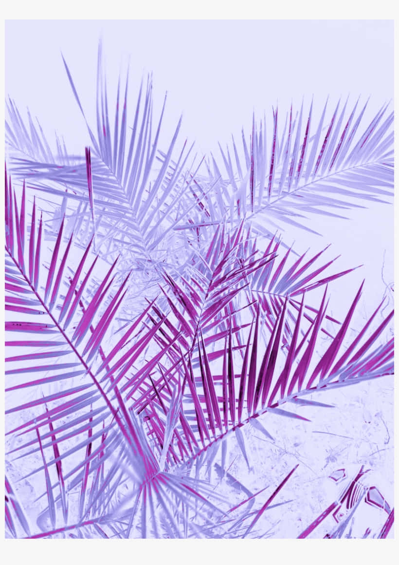 Palm Leaves 桌布 壁紙 — 充滿活力的紫色和薰衣草色棕櫚葉在柔和的粉彩天空下重疊，形成風格化的熱帶場景。