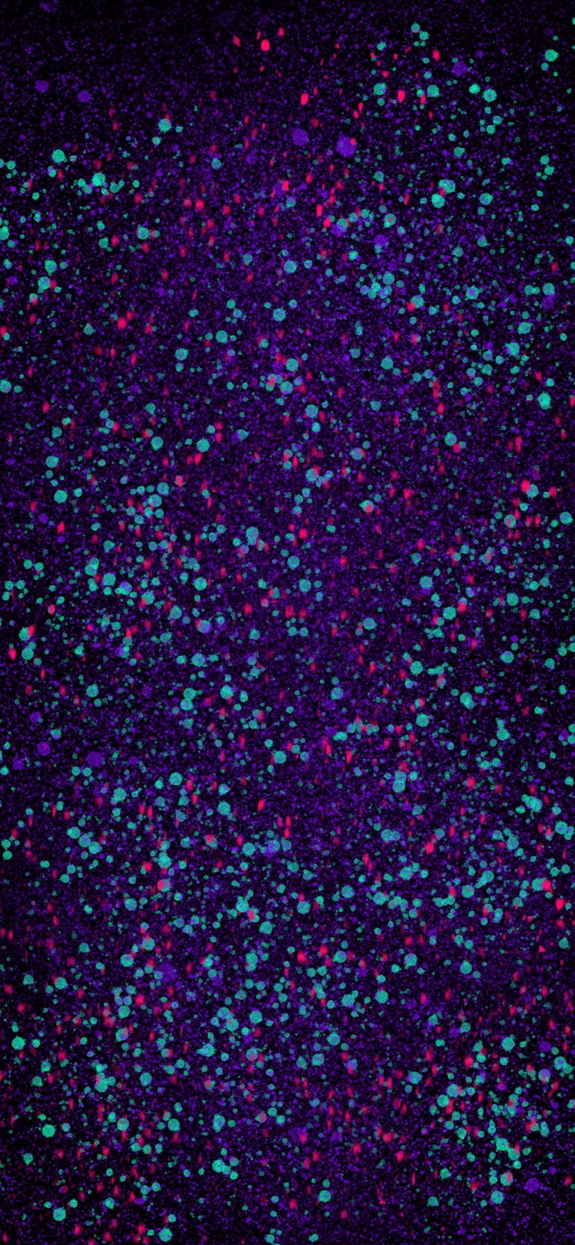 Splatter Paint 桌布 壁紙 — 充滿活力的紫色和藍綠色閃粉顆粒在深色背景上閃爍，形成耀眼的抽象圖案。