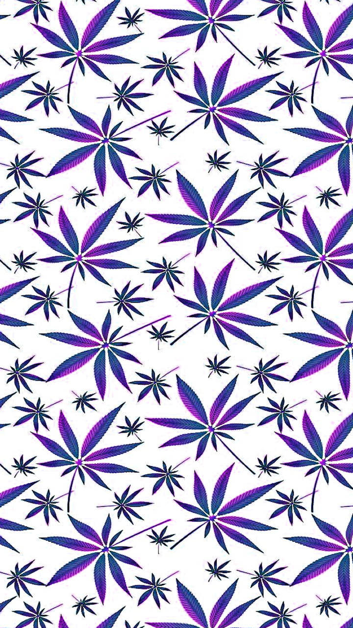 白色 桌布 壁紙 — 充滿活力的紫色和藍色大麻葉散落在乾淨的白色背景上，形成重複圖案。