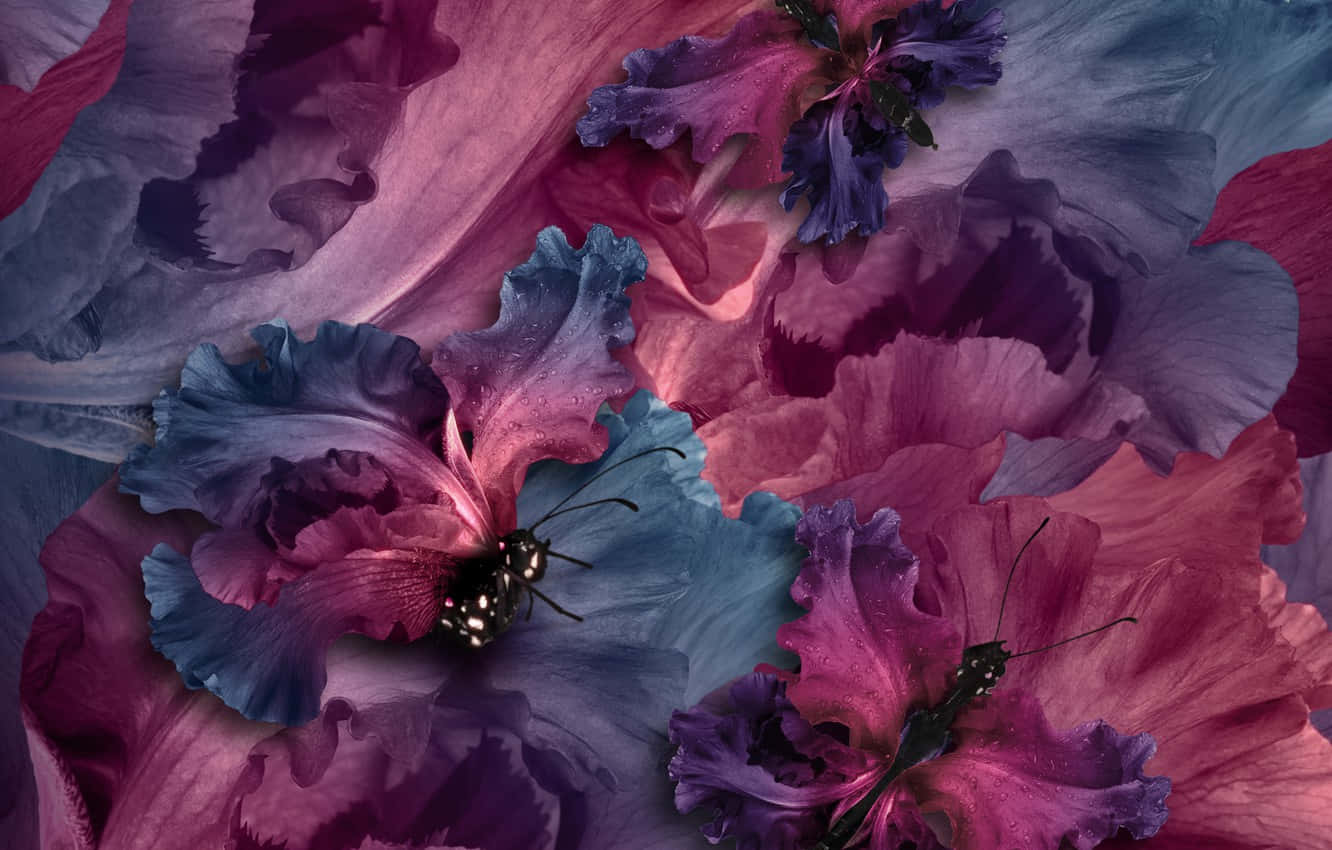 Purple Butterfly iPhone 桌布 壁紙 — 充滿活力的紫色和藍色花瓣上帶有露珠，兩隻黑色蝴蝶棲息在超現實的花卉特寫中。