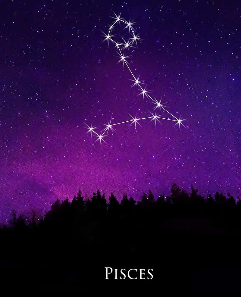 Constellations 桌布 壁紙 — 充滿活力的紫色夜空展示雙魚座星座，閃爍的星星在黑暗森林輪廓上方。