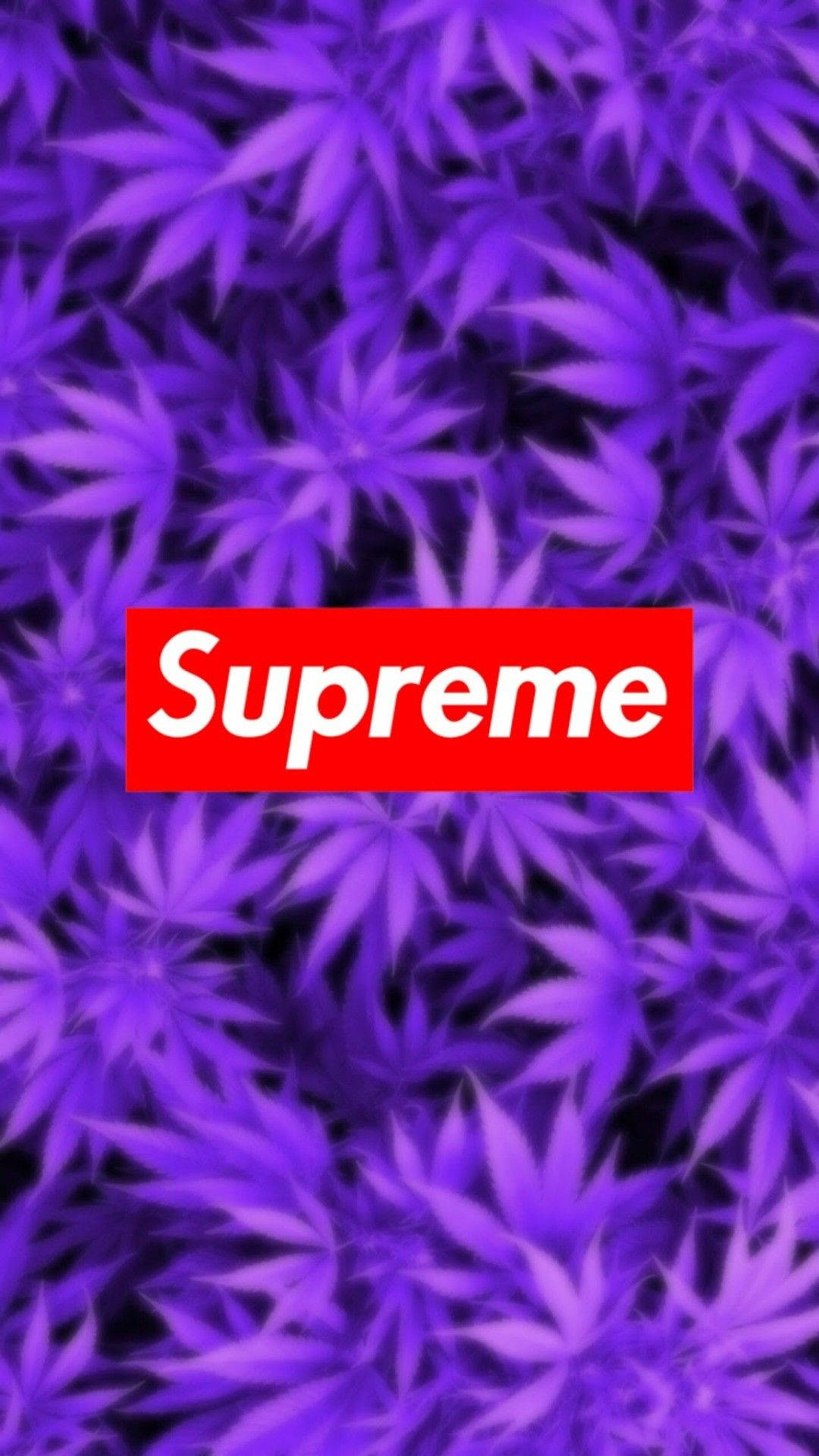supreme aesthetic 桌布 壁紙 — 充滿活力的紫色大麻葉填滿畫面，中央突出顯示一個大膽的紅色Supreme標誌。