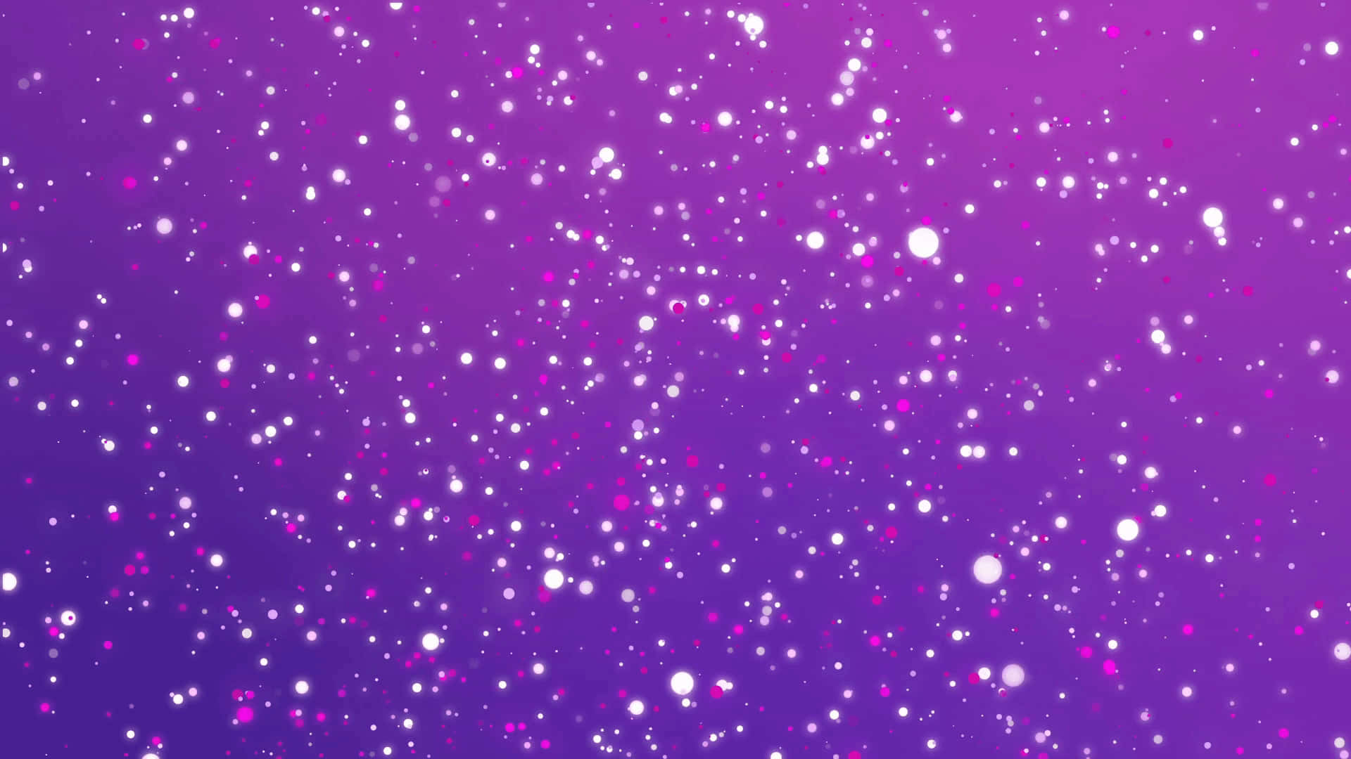 Purple Pink 桌布 壁紙 — 充滿活力的紫色背景，點綴著閃閃發光的白色和粉紅色亮粉顆粒，輕輕漂浮。