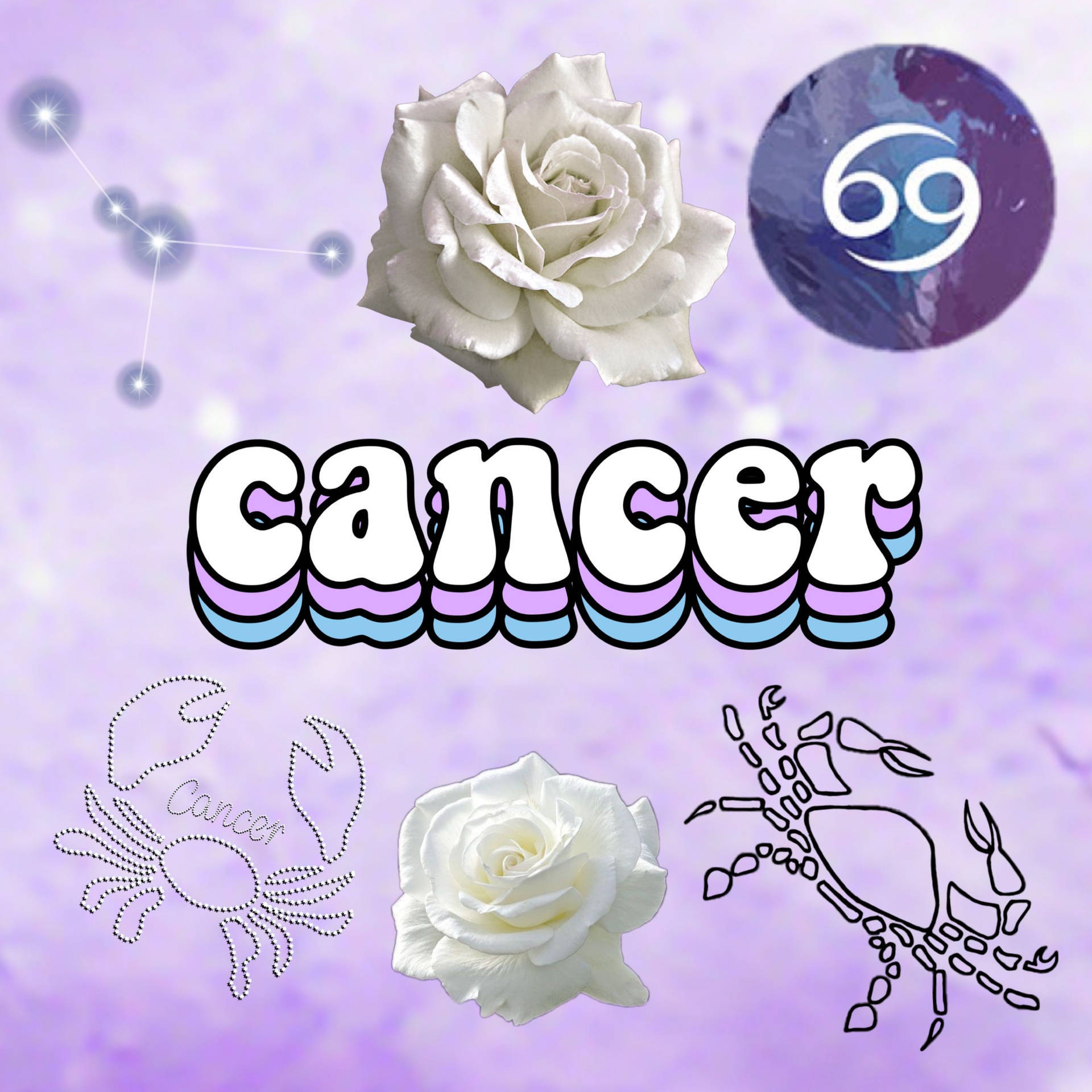 Cancer Aesthetic 桌布 壁紙 — 充滿活力的紫色背景上，以粗體風格文字顯示「癌症」一詞，周圍環繞著白玫瑰和代表星座的螃蟹符號。