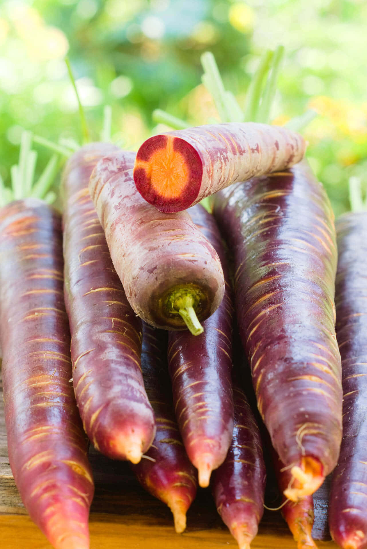 Purple Carrots 桌布 壁紙 — 充滿活力的紫色胡蘿蔔，內部橙色，頂部綠色，放在木質表面上，背景是明亮的綠色模糊背景。