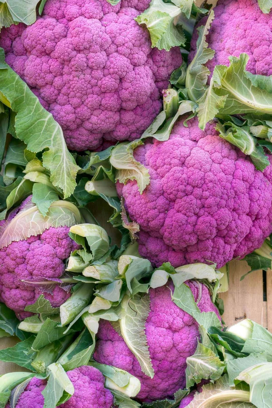 Purple Cauliflower 桌布 壁紙 — 充滿活力的紫色花椰菜頭，搭配新鮮的綠色葉子，擺放在木質表面上。