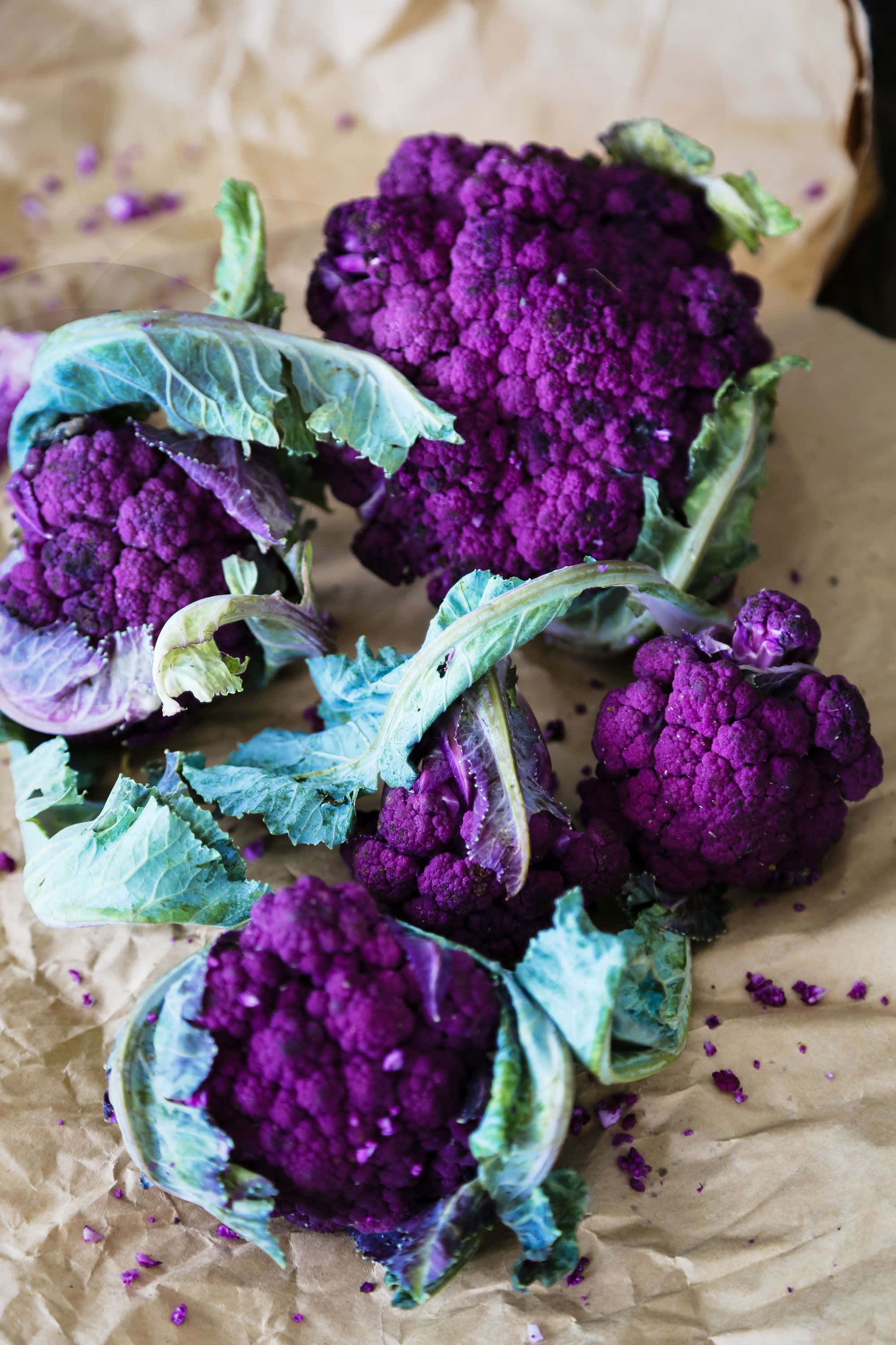 Purple Cauliflower 桌布 壁紙 — 充滿活力的紫色花椰菜頭，配以綠色葉子，放在皺巴巴的棕色紙上，撒有紫色碎屑。