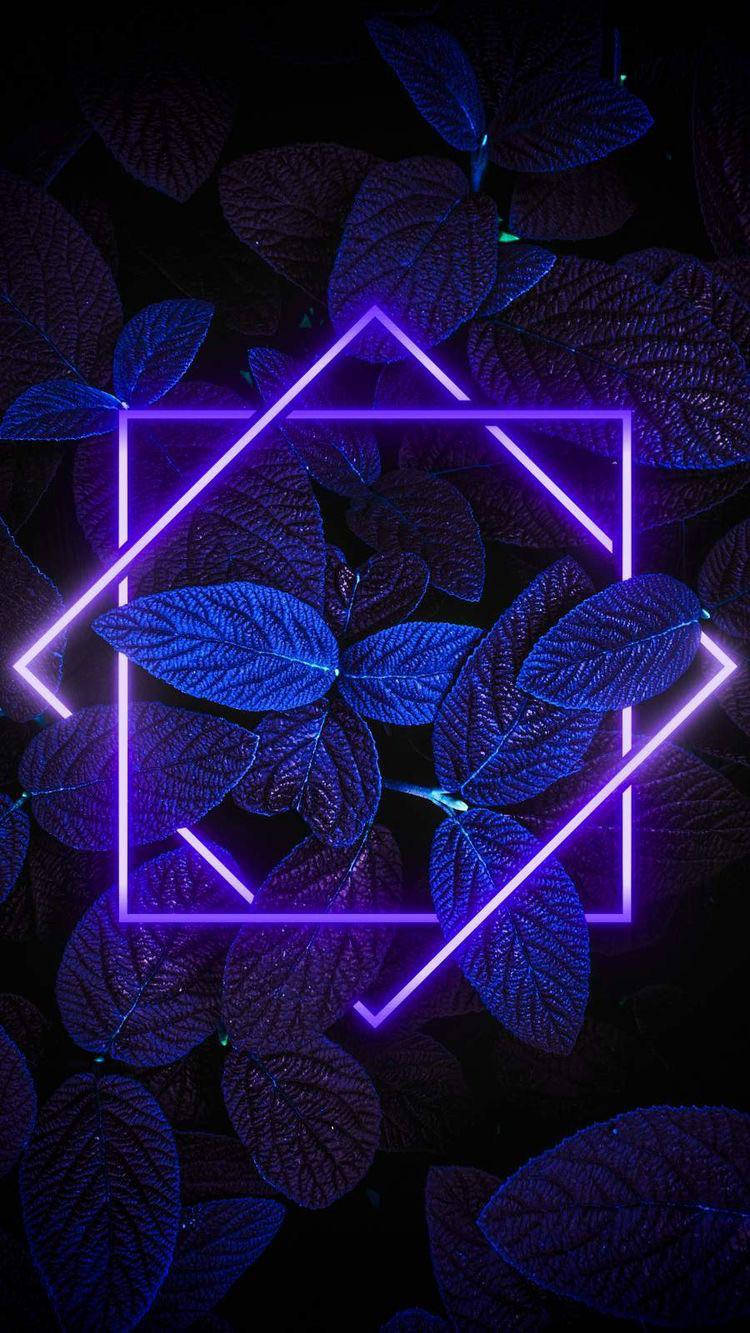 Themes 桌布 壁紙 — 充滿活力的紫色霓虹幾何框架覆蓋在黑色背景上的深藍色紋理葉子上。