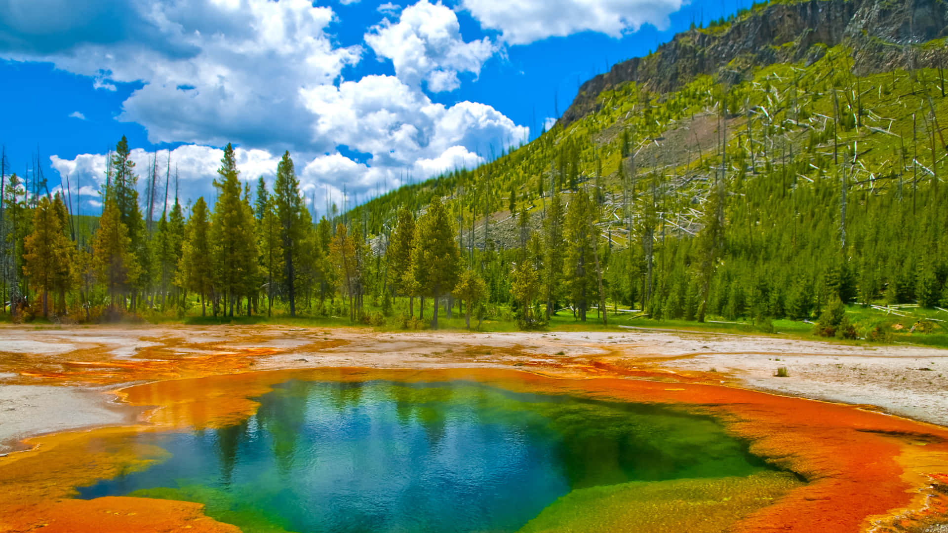 Yellowstone Geysers 桌布 壁紙 — 充滿活力的綠松石溫泉，周圍環繞著橙色礦床和常綠樹木，在明亮的藍天下有蓬鬆的雲朵。