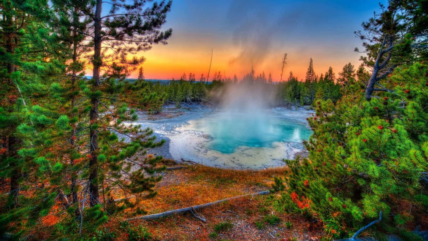 Yellowstone Geysers 桌布 壁紙 — 充滿活力的綠松色溫泉在松樹間冒著蒸氣，伴隨著日落時分火紅的橙色天空。