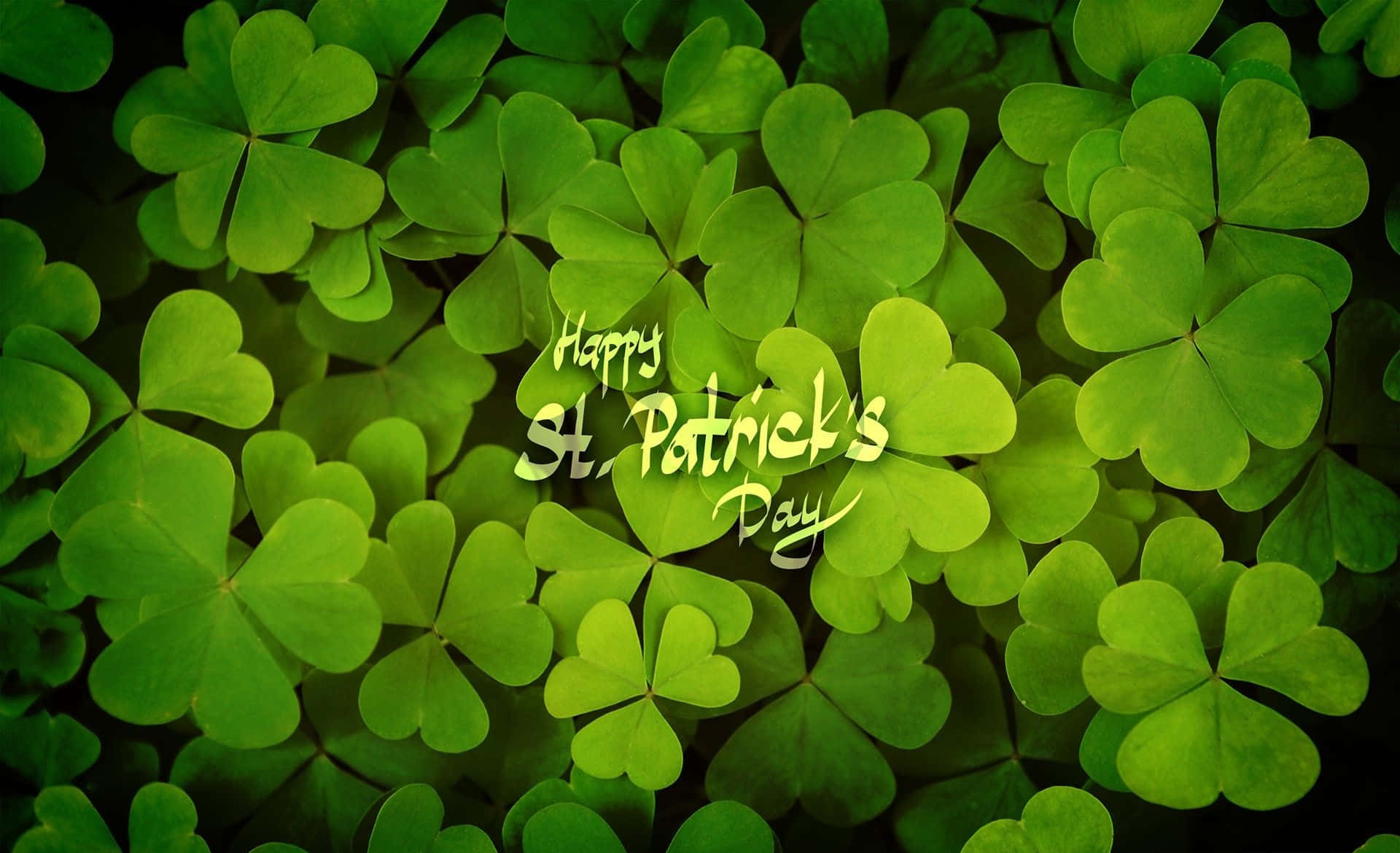 Shamrock 桌布 壁紙 — 充滿活力的綠色三葉草葉片緊密排列，帶有優雅草書的「Happy St. Patrick's Day」文字。