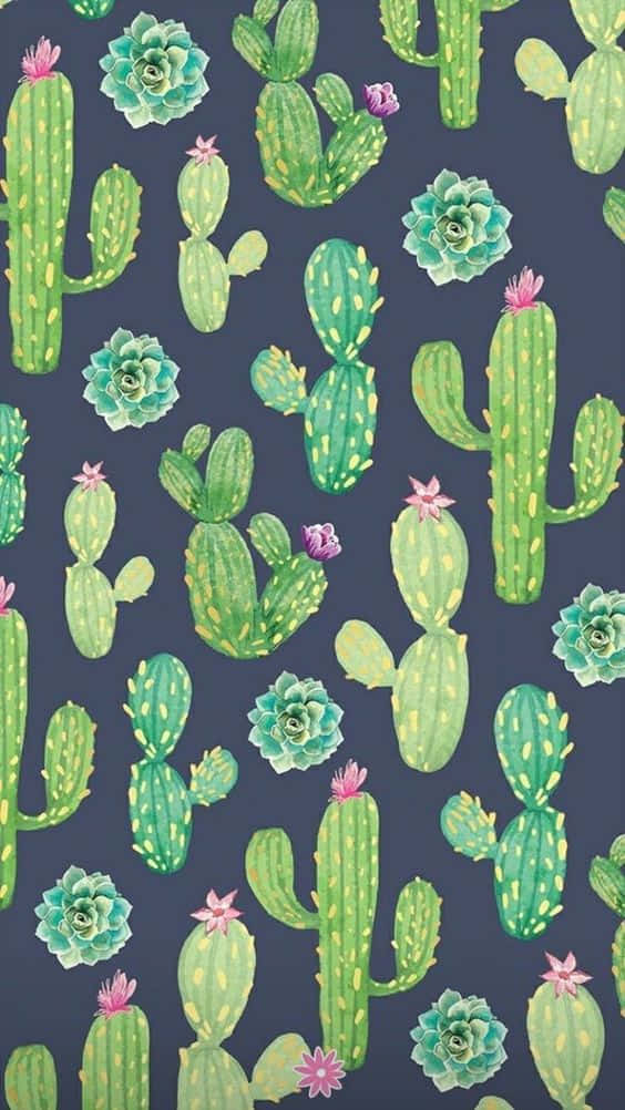 Cactus 桌布 壁紙 — 充滿活力的綠色仙人掌和多肉植物，帶有粉紅色花朵，在深海軍藍色背景上以重複圖案綻放。