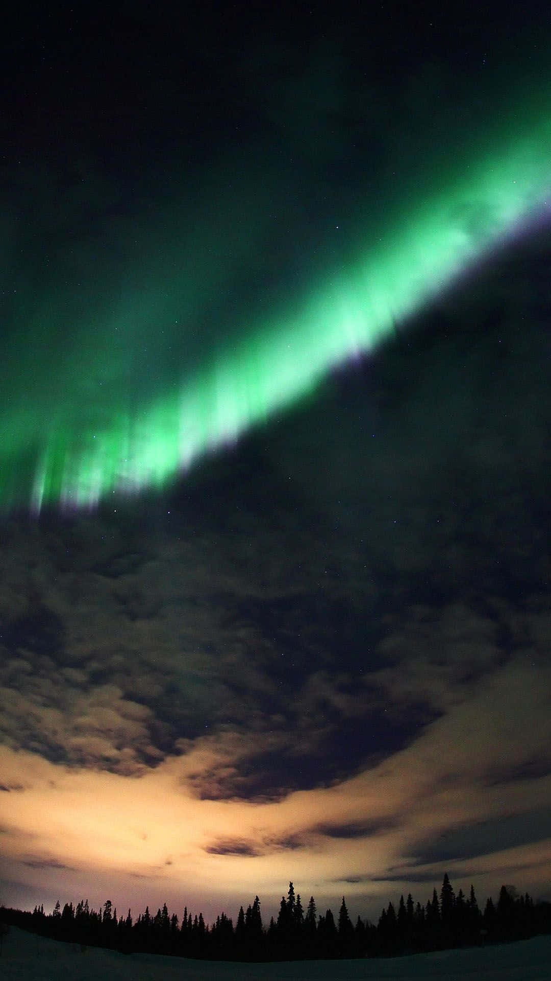 Aurora 桌布 壁紙 — 充滿活力的綠色北極光在星空下，在白雪覆蓋的森林輪廓上方舞動。